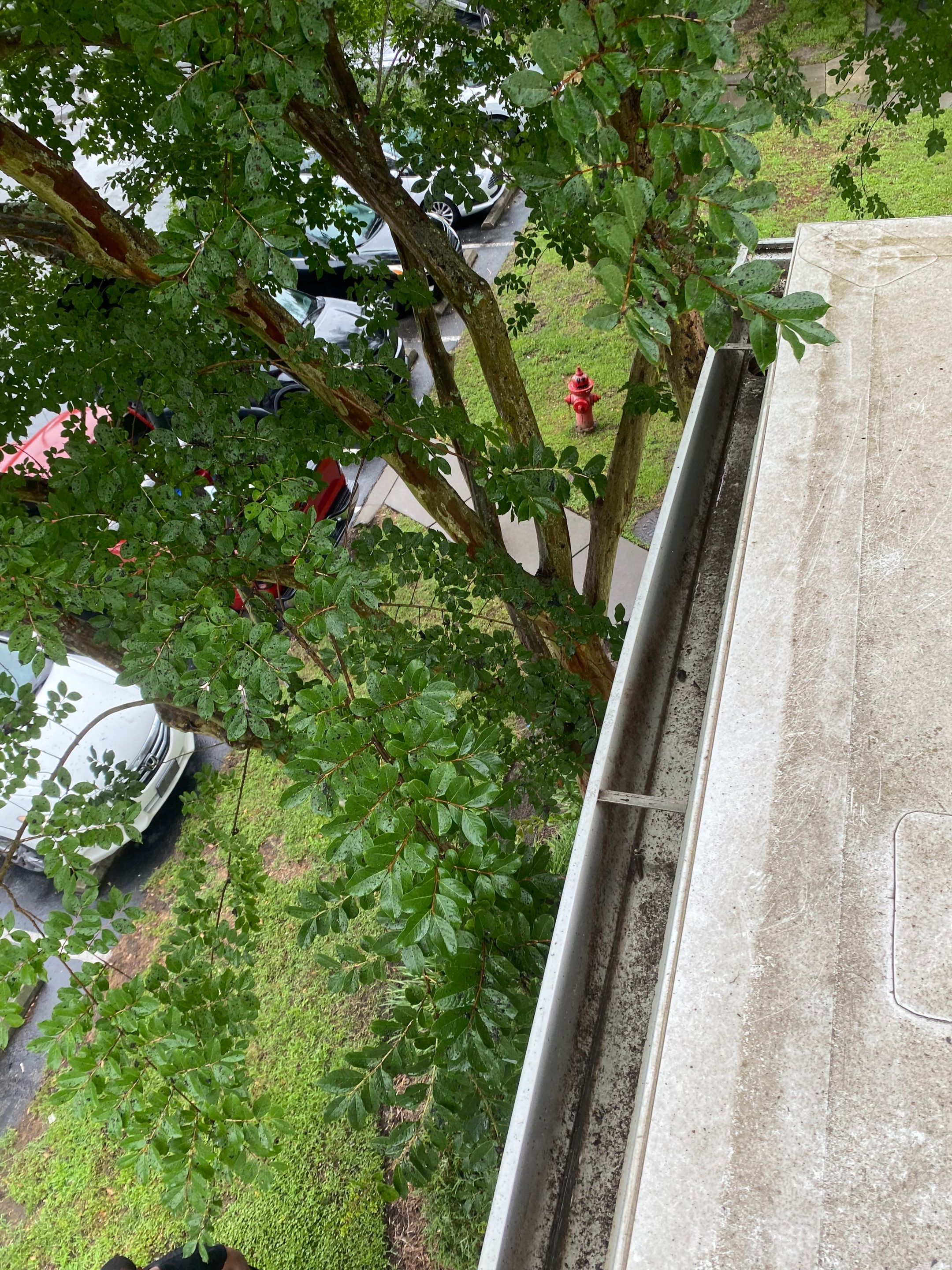 Commercial gutter cleaning Mount Pleasant, SC after photo with clean gutters