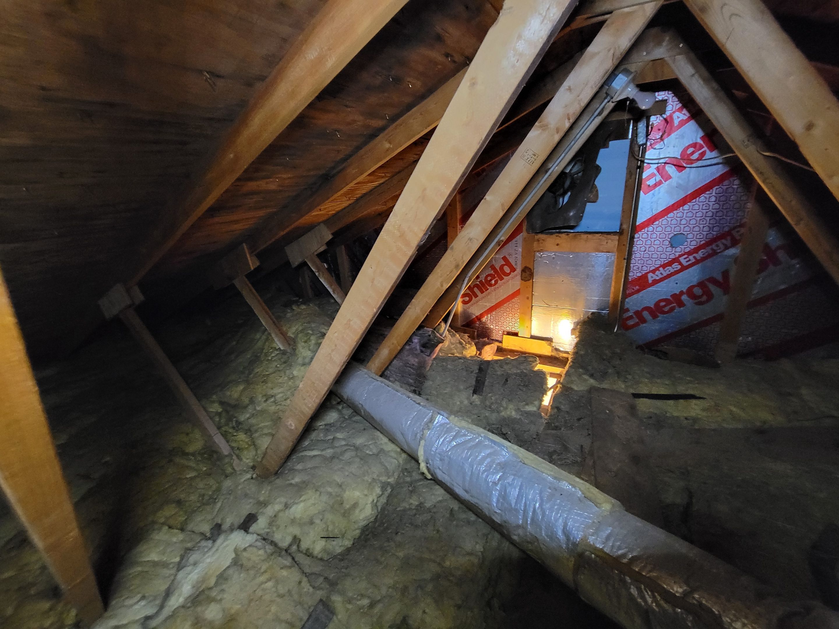 Attic Mold Remediation by Chicagoland Water Medics