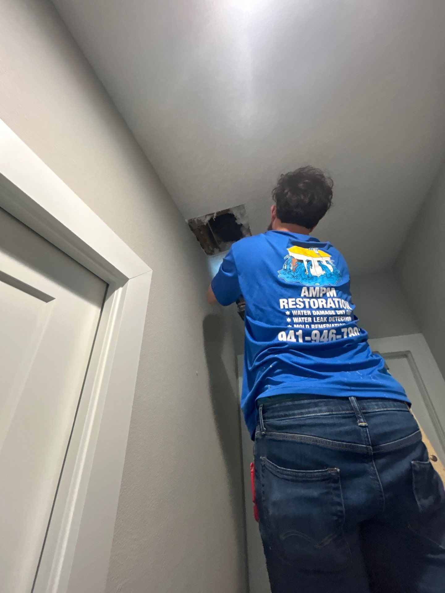 Mold Damage Removal In Bradenton by Ampm Restoration Services