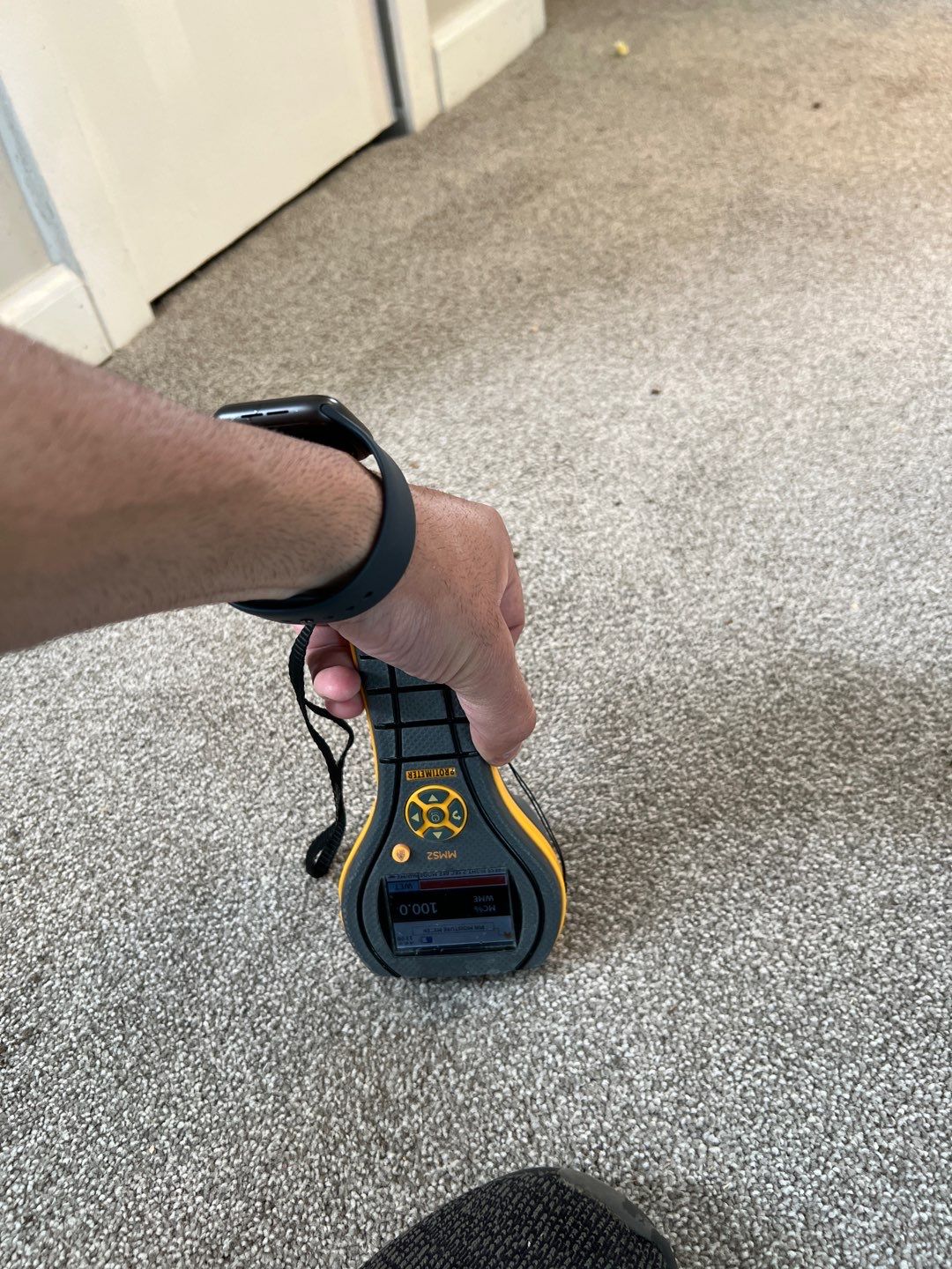 Project in Novi by EzDry Water Mitigation & Property Restoration