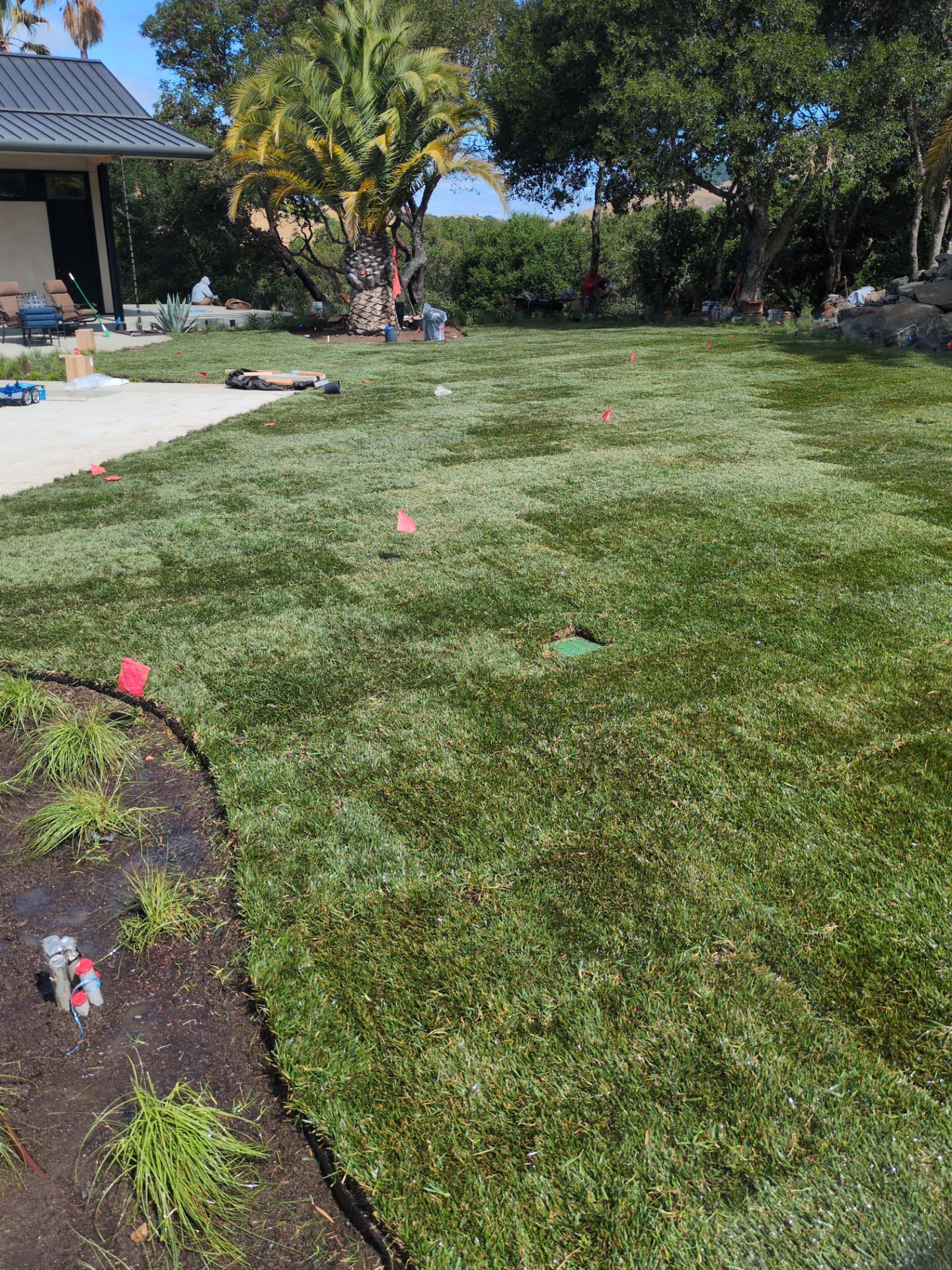 Project in Nicasio by A - G Sod Farms