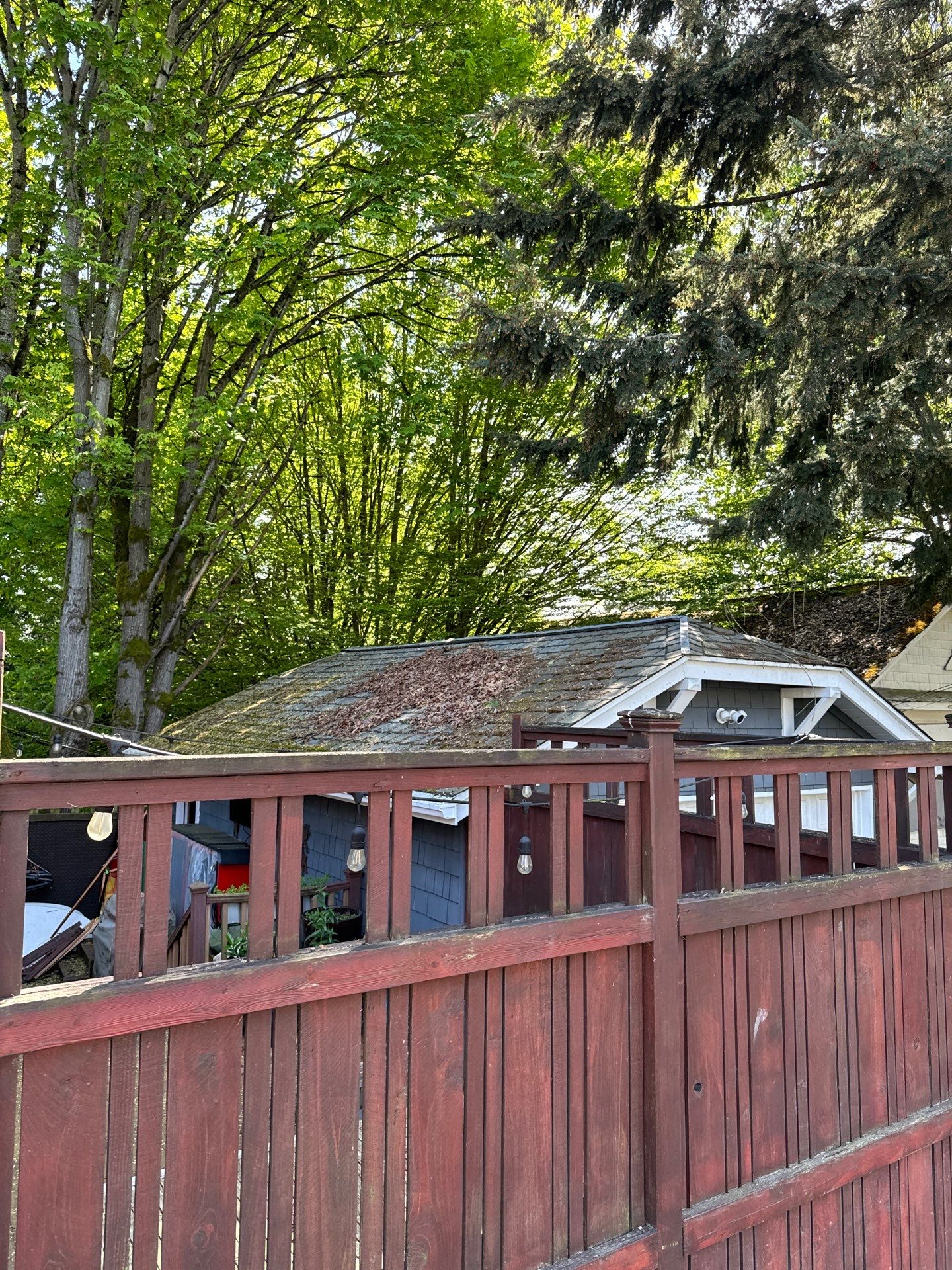 Project in Seattle by Peaks and Valleys Construction