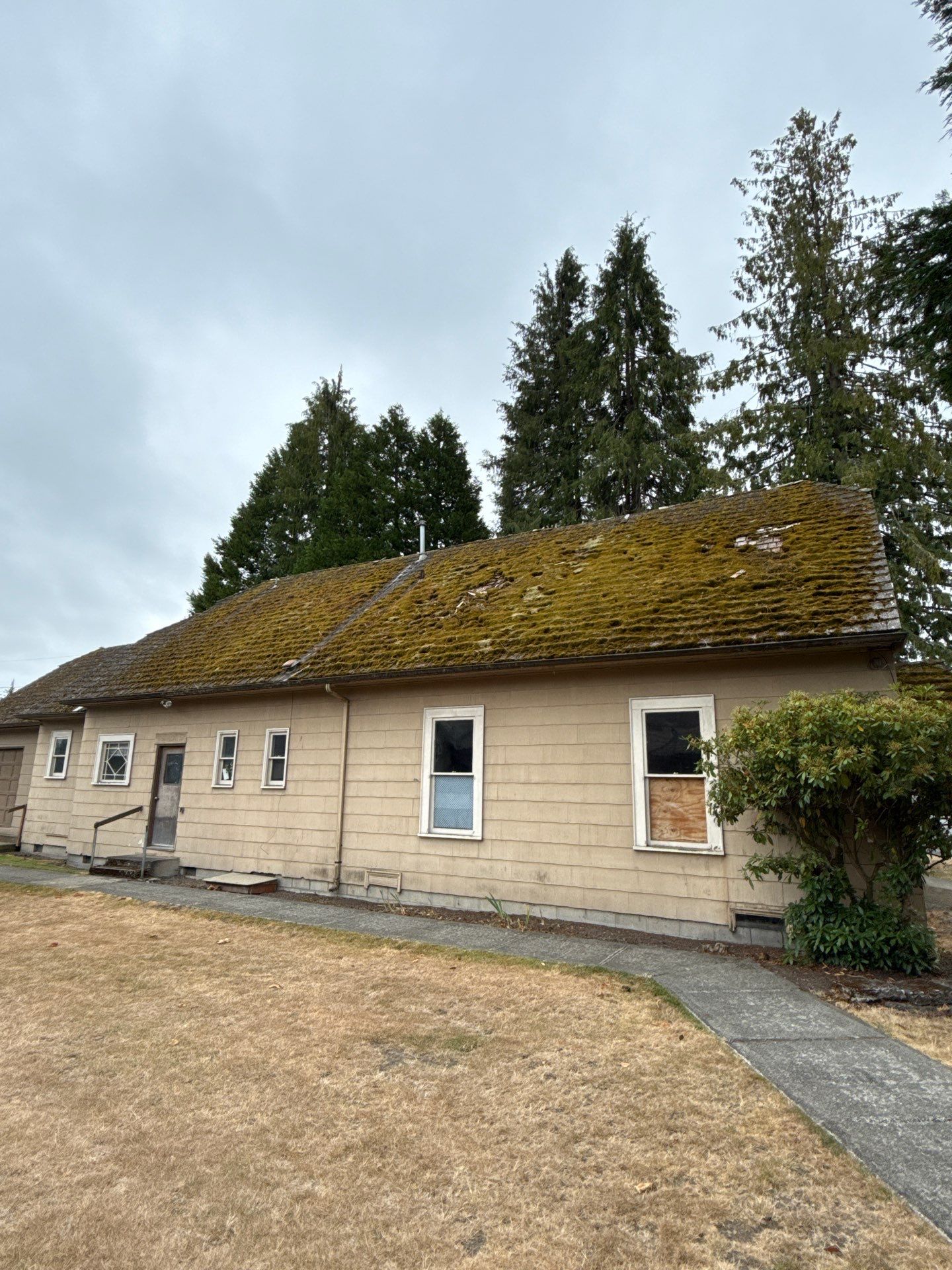 Structure Demolition and Site Clearing in Sedro-Woolley