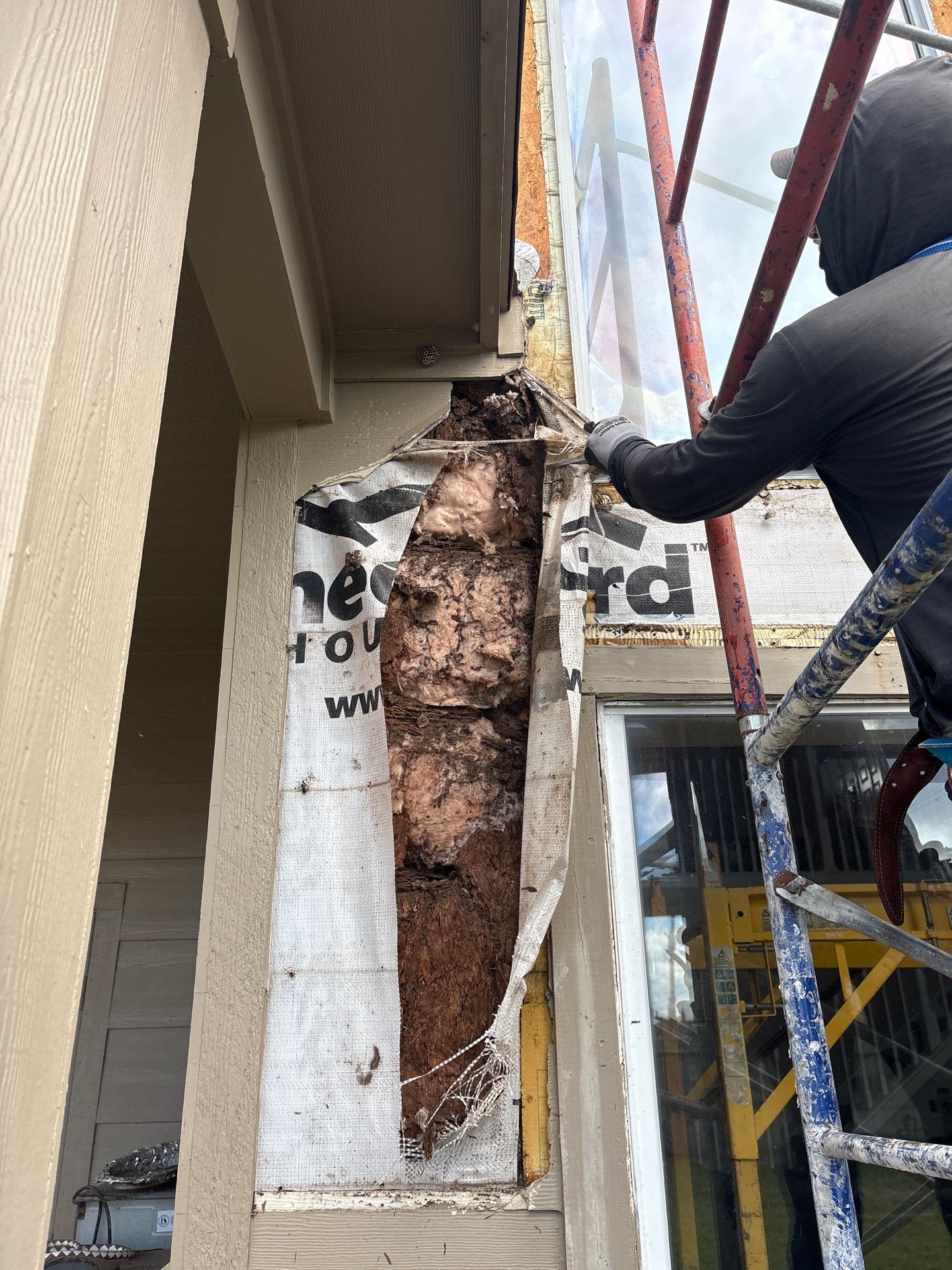 Poorly installed Windows WILL Destroy a home! by Bayfront Roofing and Construction