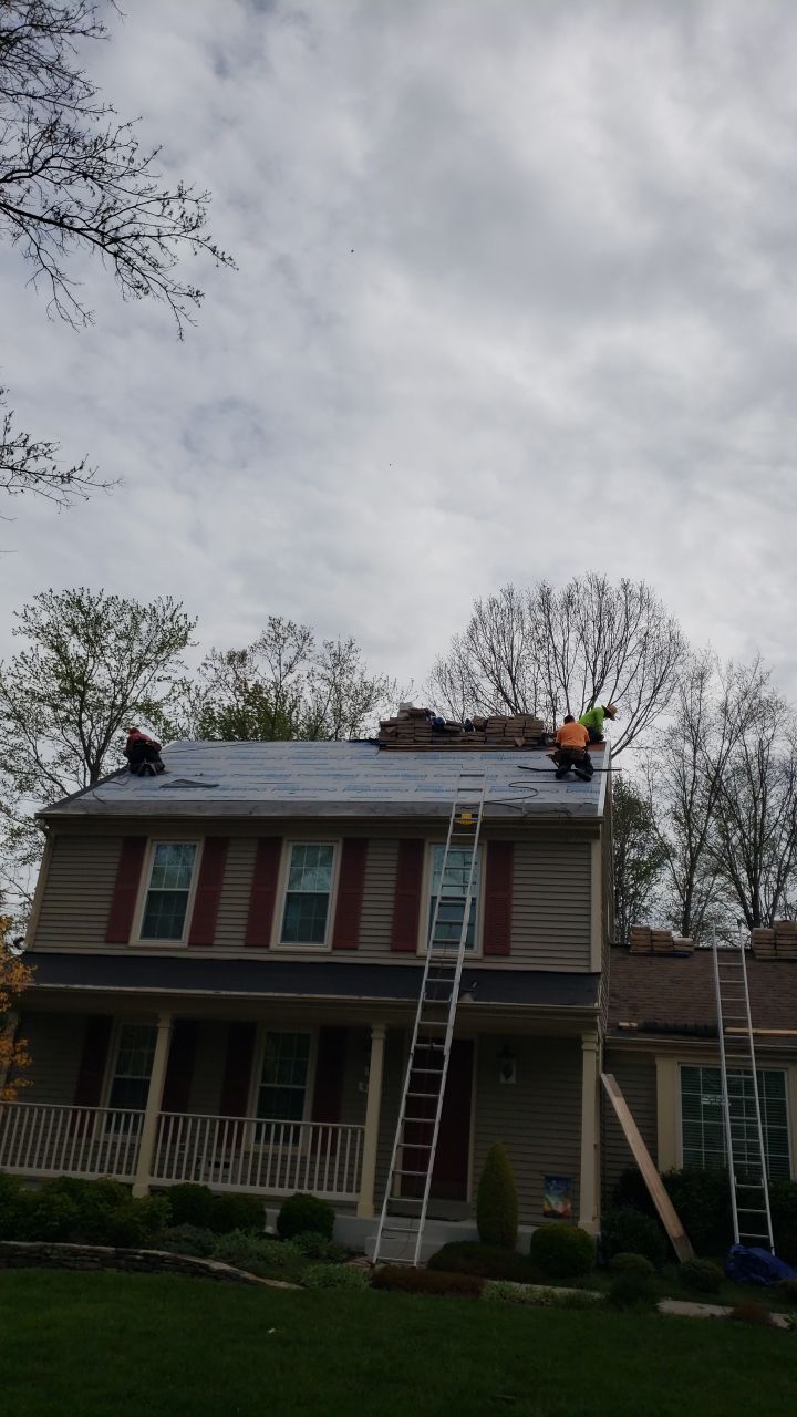 Springfield Certainteed Landmark Pro Designer Shingles by RM Banning, Inc.