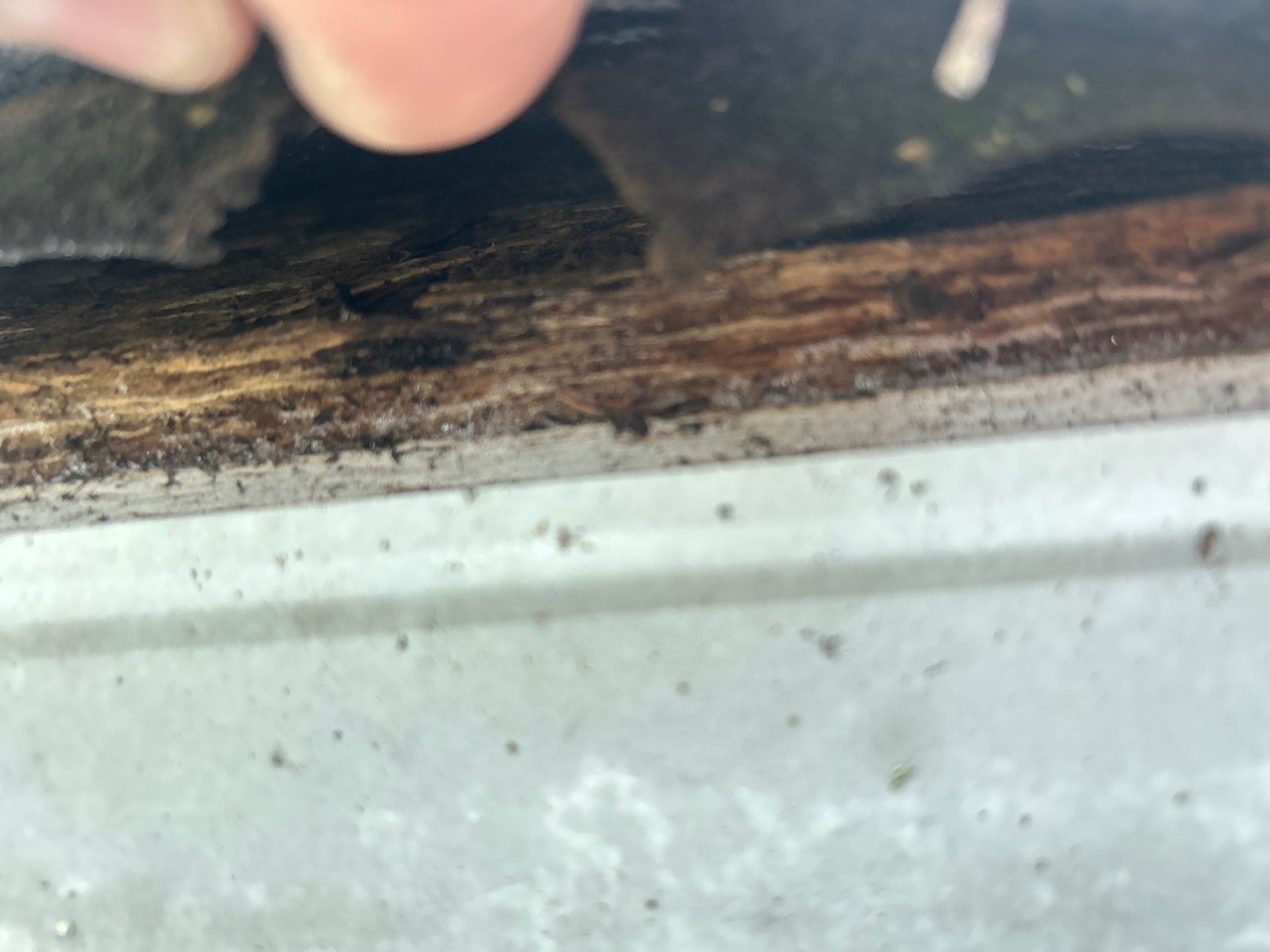 Project in Mukilteo by Connolly Construction Company