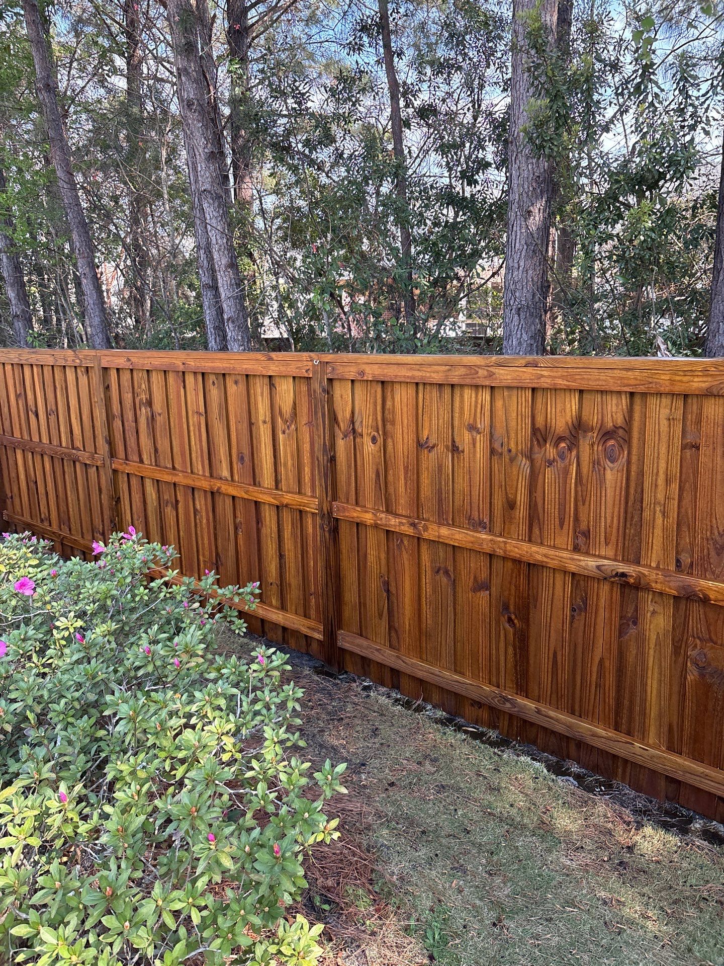 Fence using Wood Sealant by DuraSeal