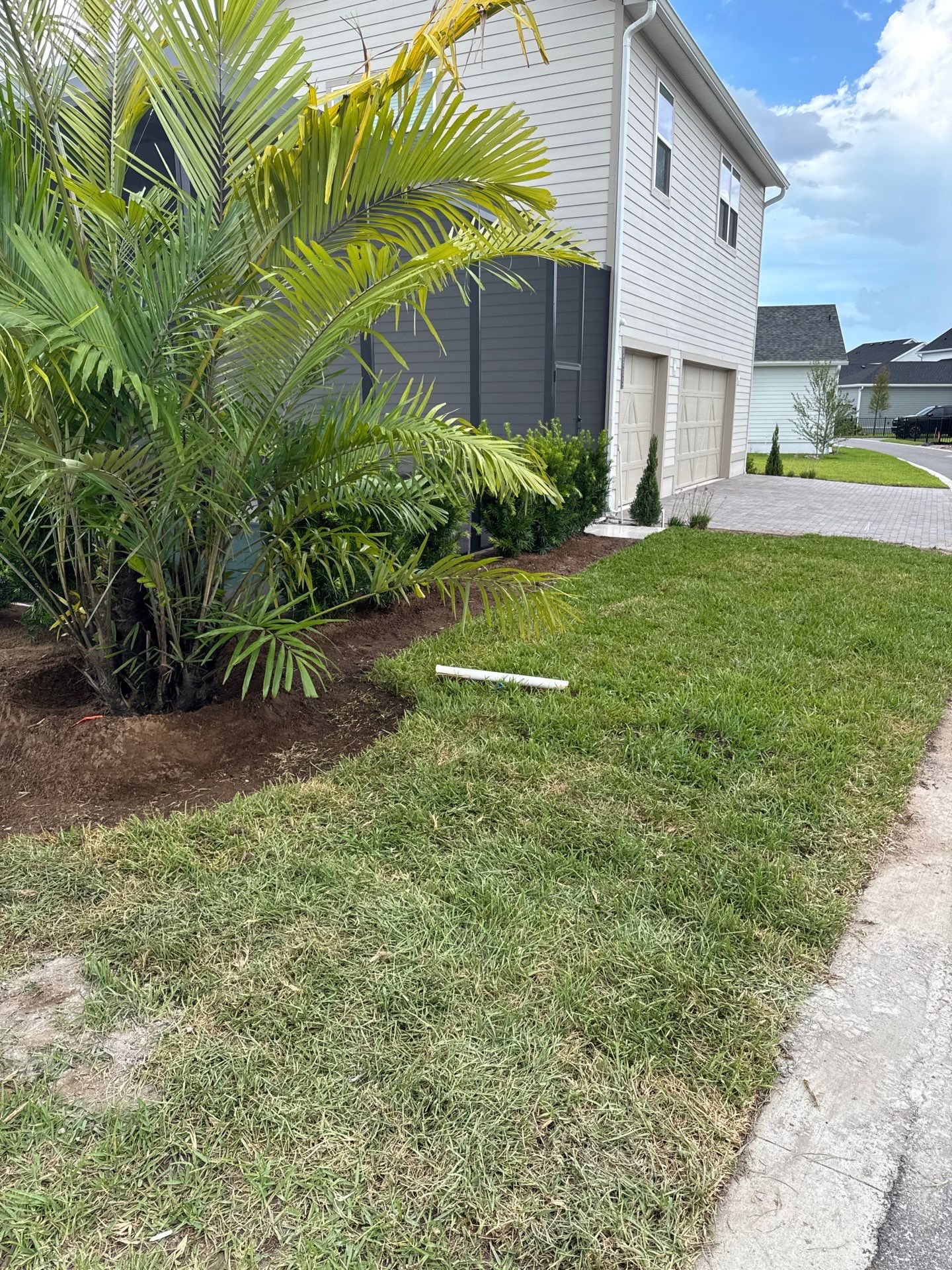 Residential | Sod Install by ProGreen Services