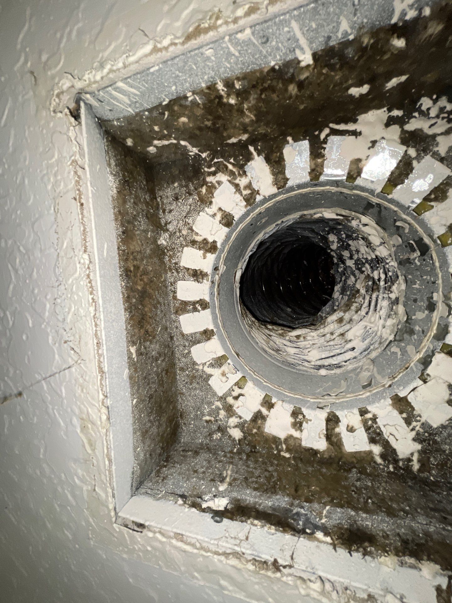Air Duct Cleaning in Leesburg by Hygienic Air, Inc