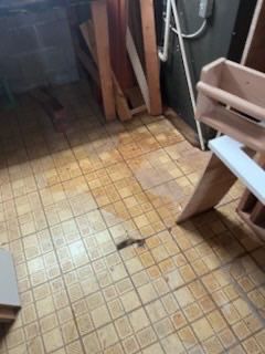 Project in Shelby Twp by EzDry Water Mitigation & Property Restoration