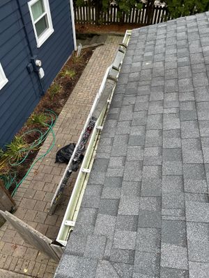 Turtle Shell gutter protection installation in Wheaton, IL 60189, photograph 15