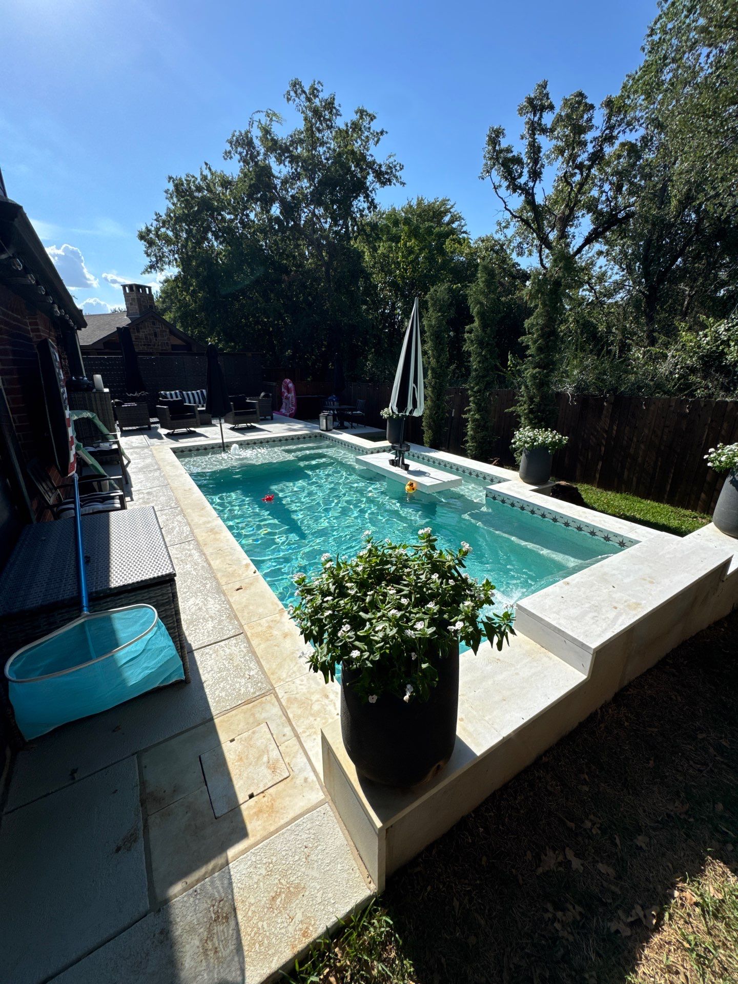 Geometric Pool with Raised Spa and White Coping by Pinnacle Pools and Spas - DFW