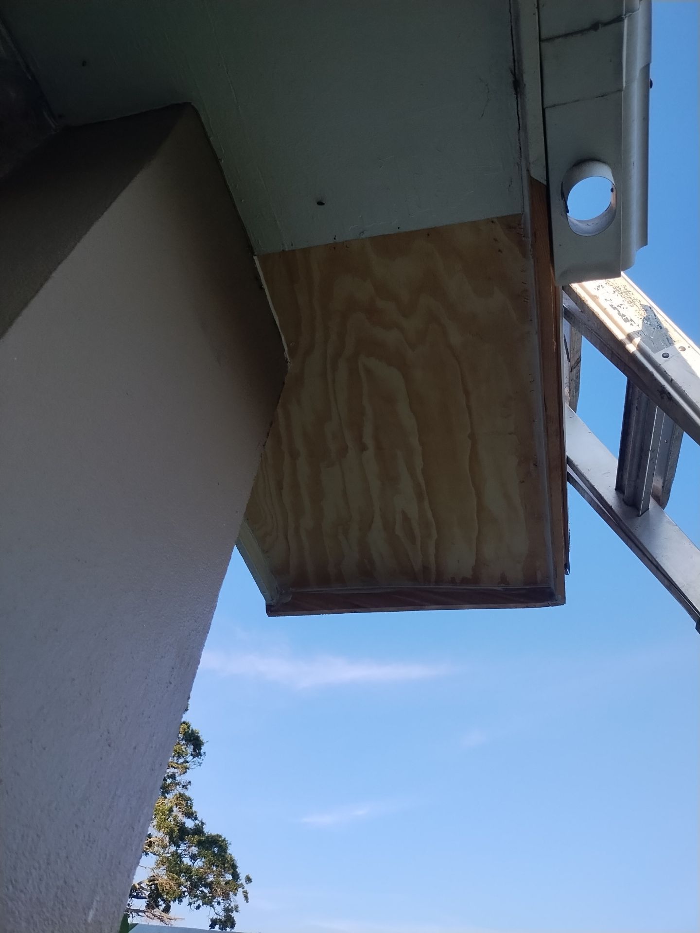 Project in Seminole 33776 by Mitchell Roofing Company LLC 