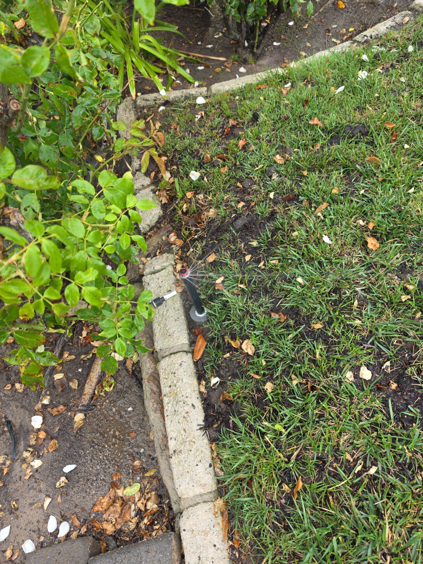 Residential Irrigation System Repair and Pipe Installation in Carlsbad by Yard Techs