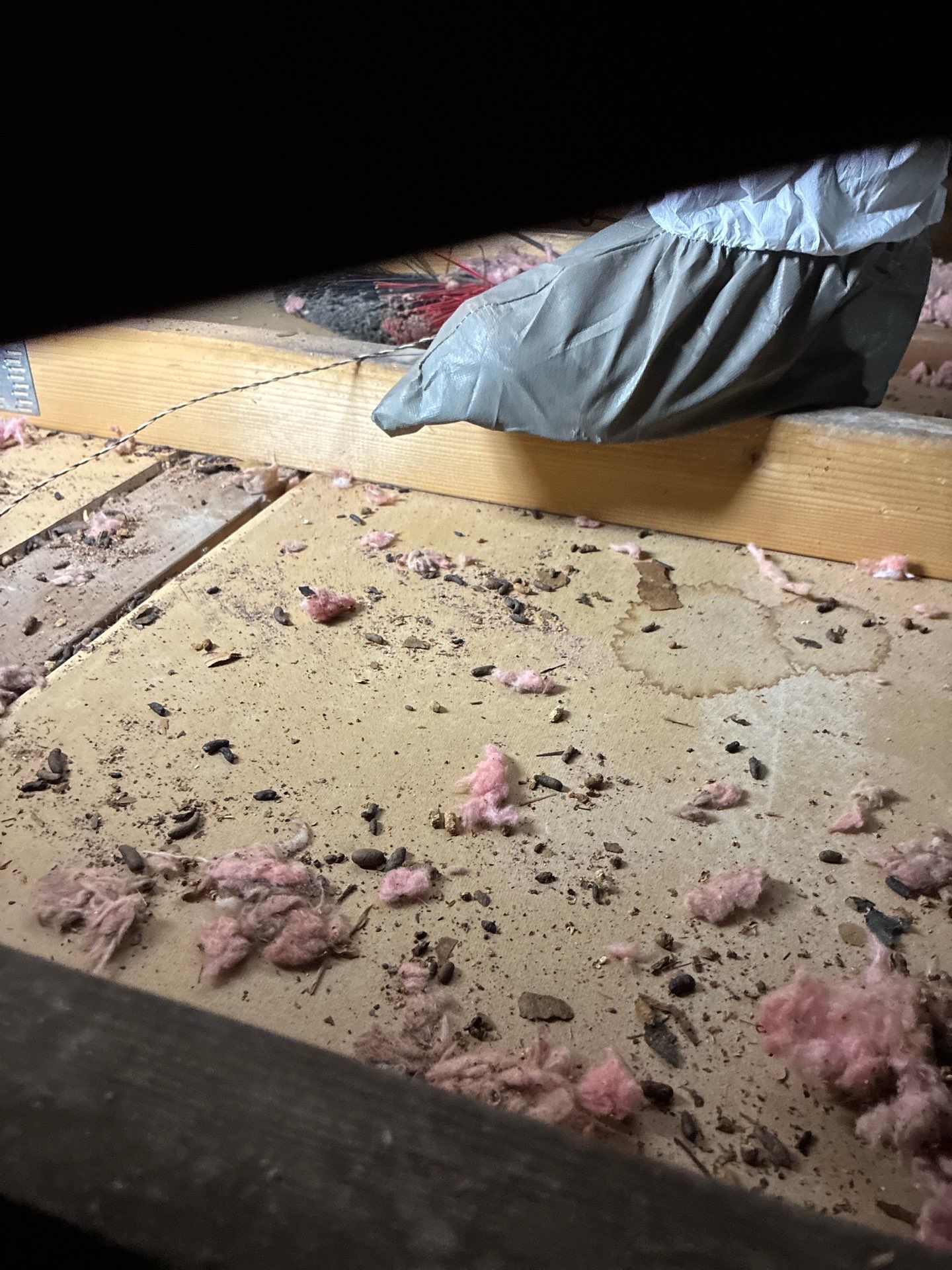 Project in Sacramento by 911 Hazmat Cleanup