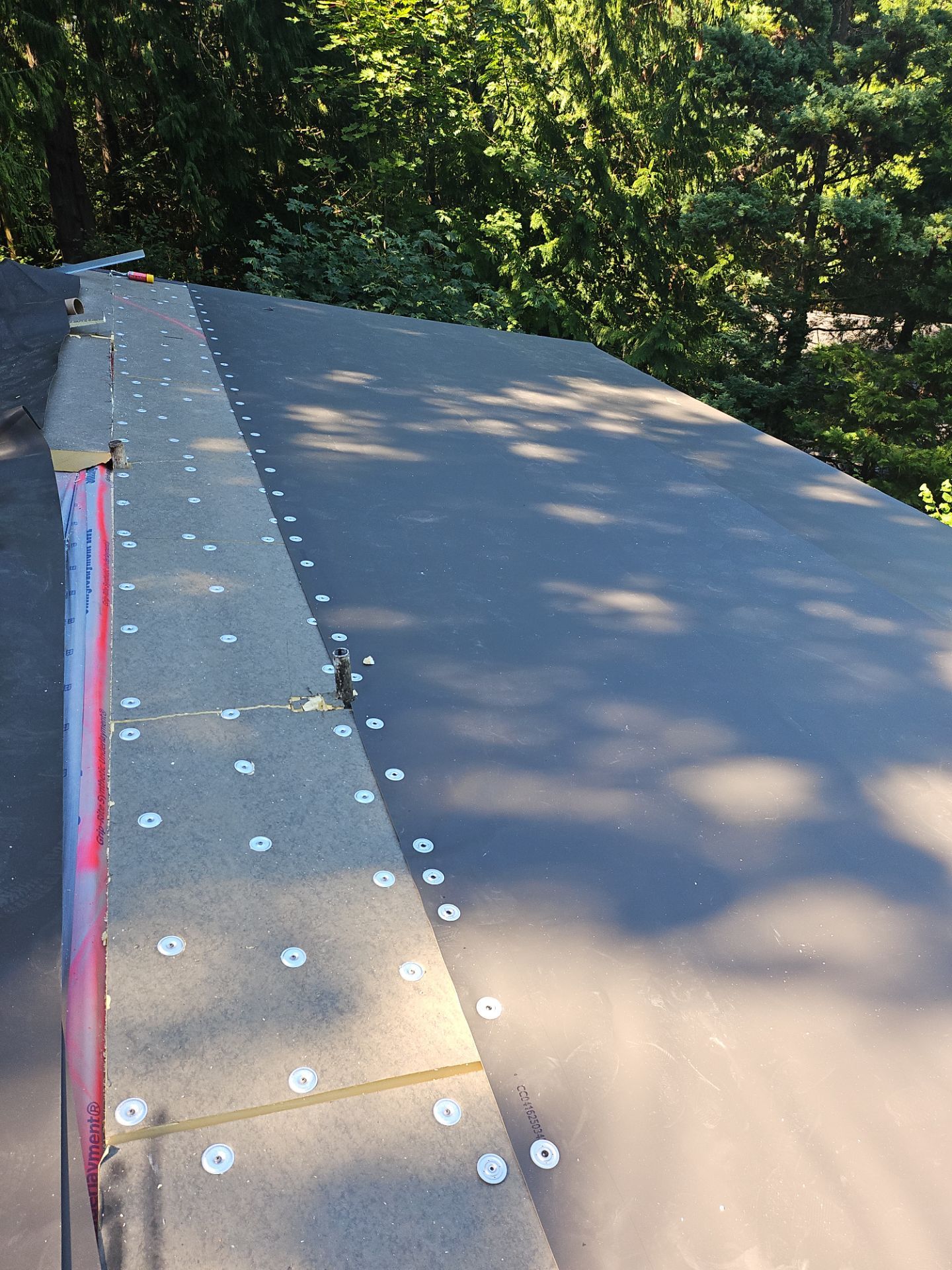 Project in Seattle by Peaks and Valleys Construction