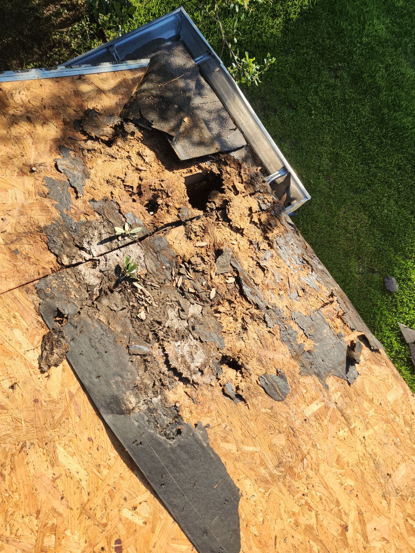 Residential Roof Installation using Owen's Corning Duration (Lifetime) Shingles by Roof Repair Company