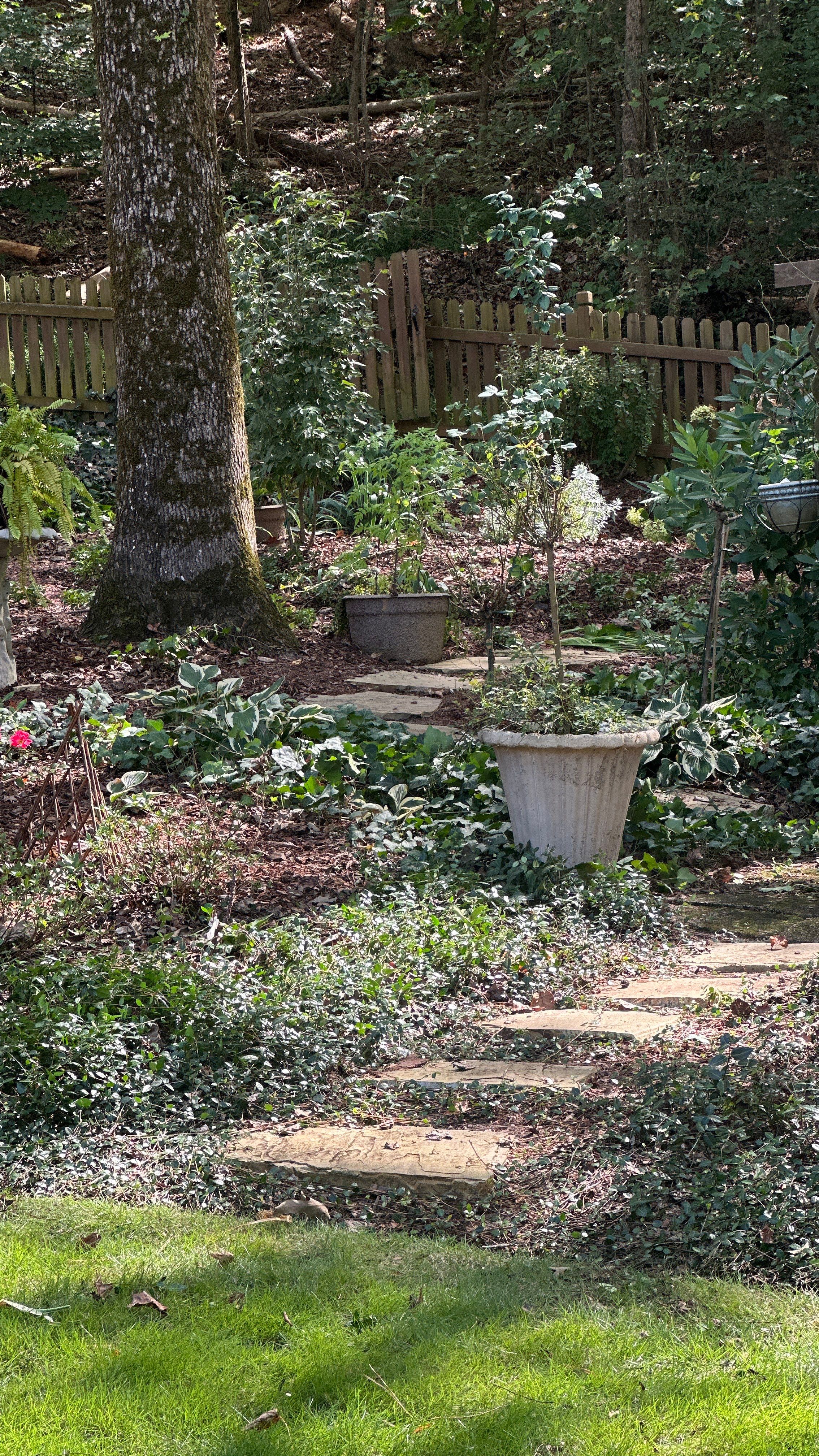 Custom Landscape Transformation and Hardscape Installation in Birmingham by NATURE ONE - LANDSCAPE DESIGN