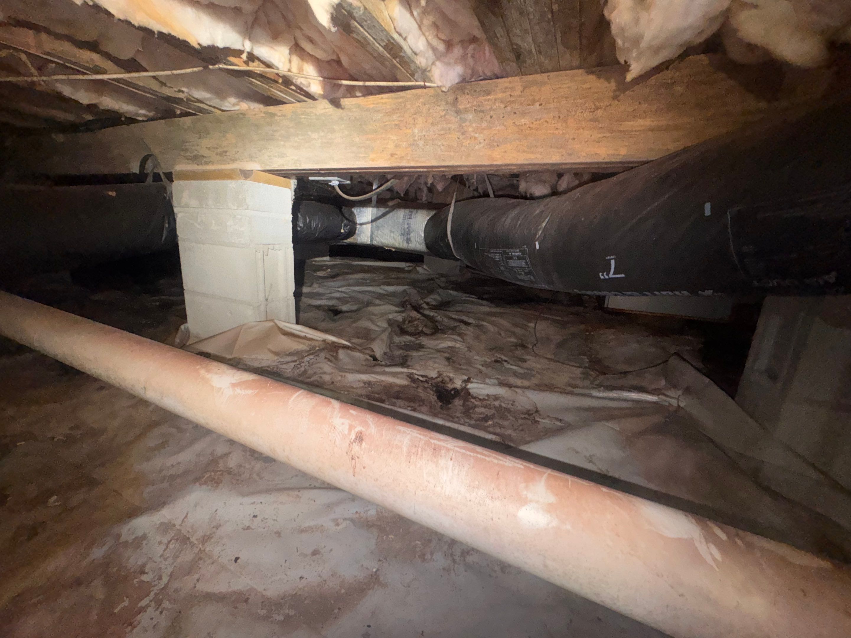 Moisture Barrier, Mold Clean, Structural Repair, Dehumidifier, R19 Insulation. by Impact Crawlspace