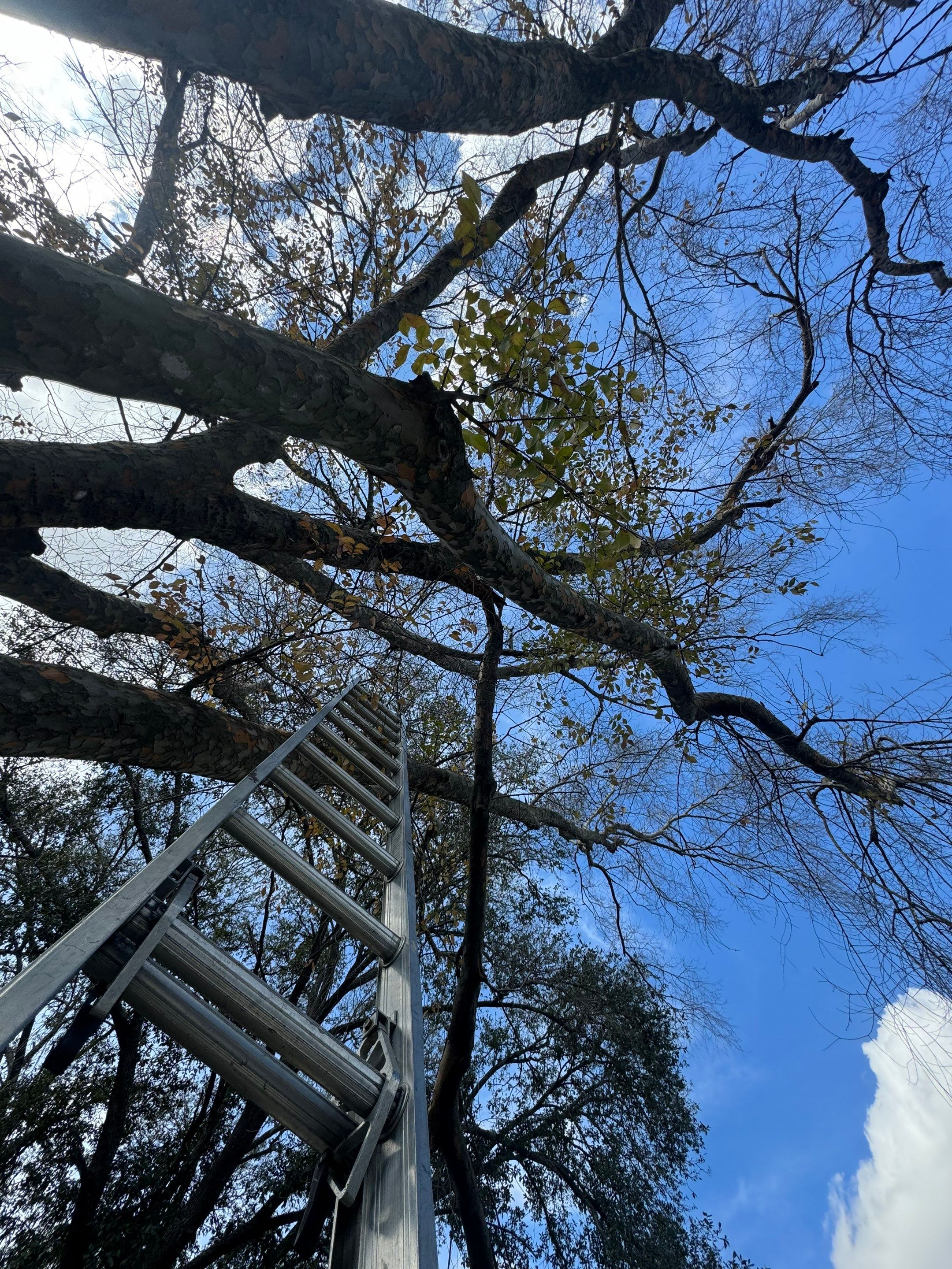 Project in Houston, TX by Associates Roofing Unlimited 