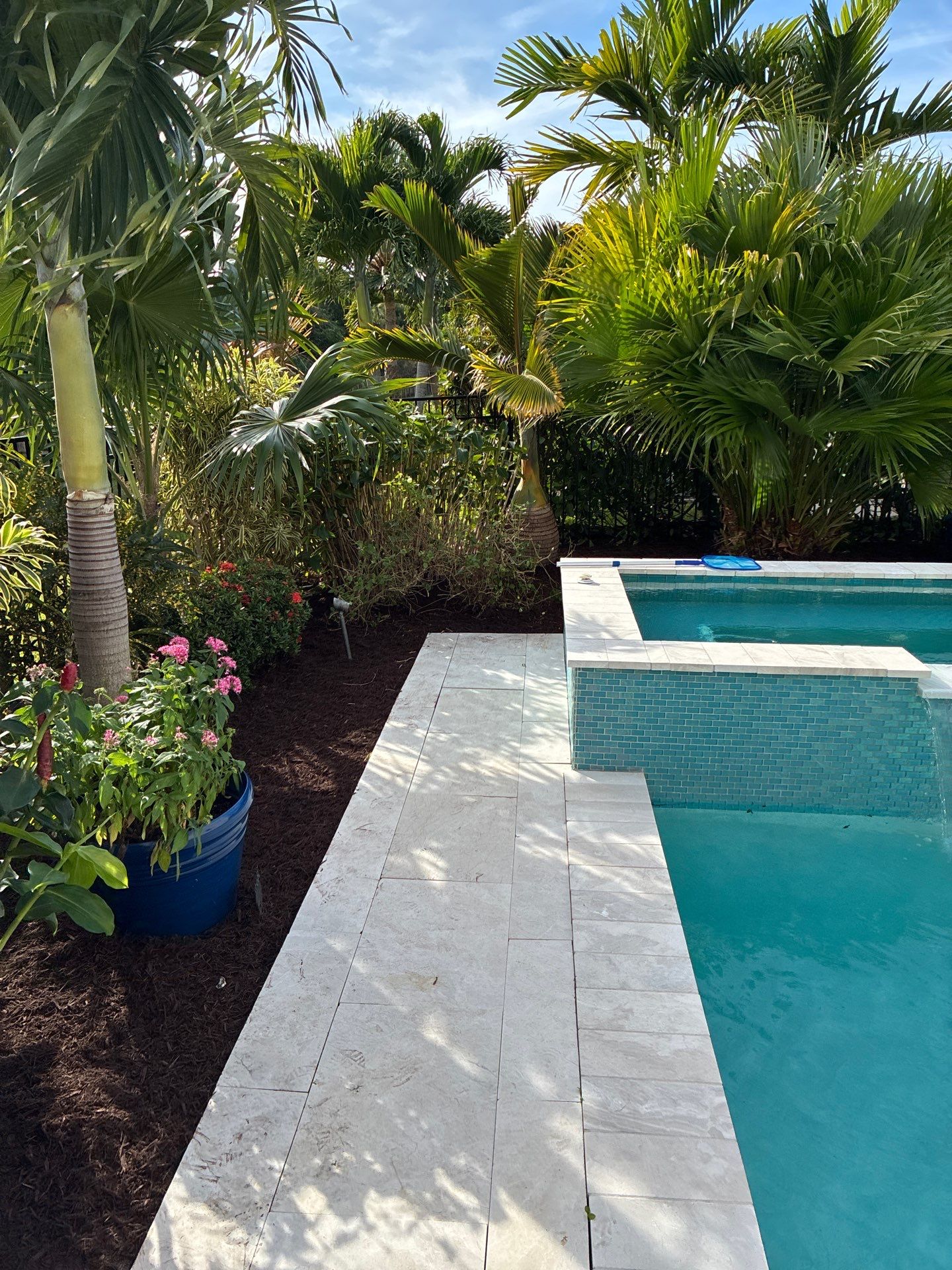 🍃 Berry Park | Detail & Refresh Project  📍 Palm City, Florida by Alpha Zeta Enterprises Inc