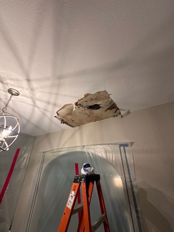 Emergency Service Mold Concern by ANR Restoration