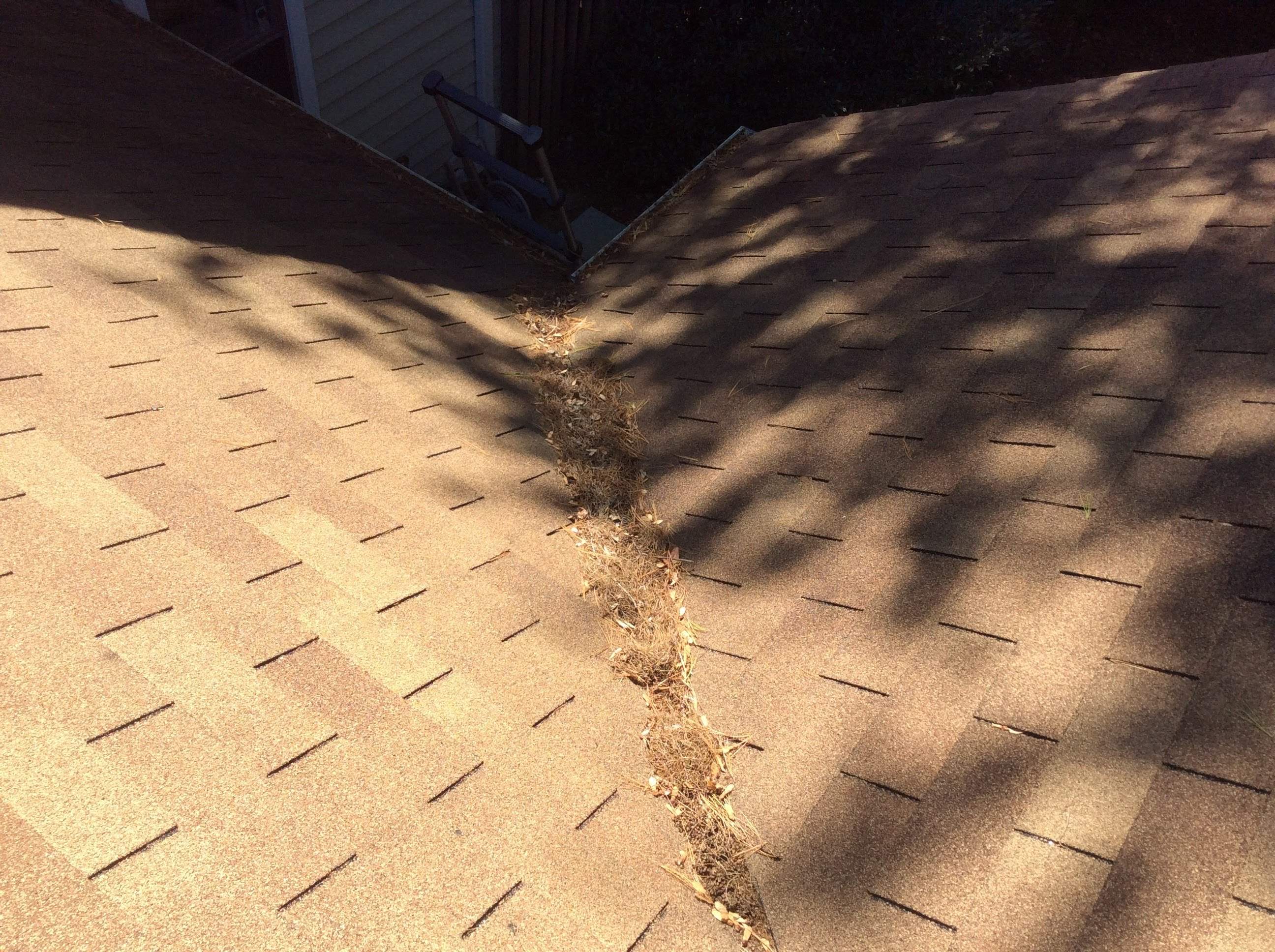 Residential Roofing Installation using Pewterwood Shingles  by Alpha Design Services