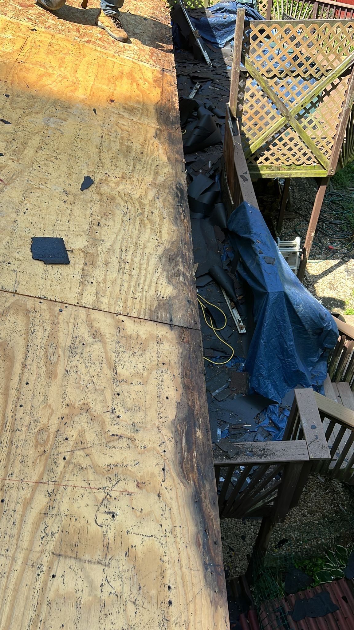 Roof Replacement - Landmark PRO Red Oak by Winchester Roofing