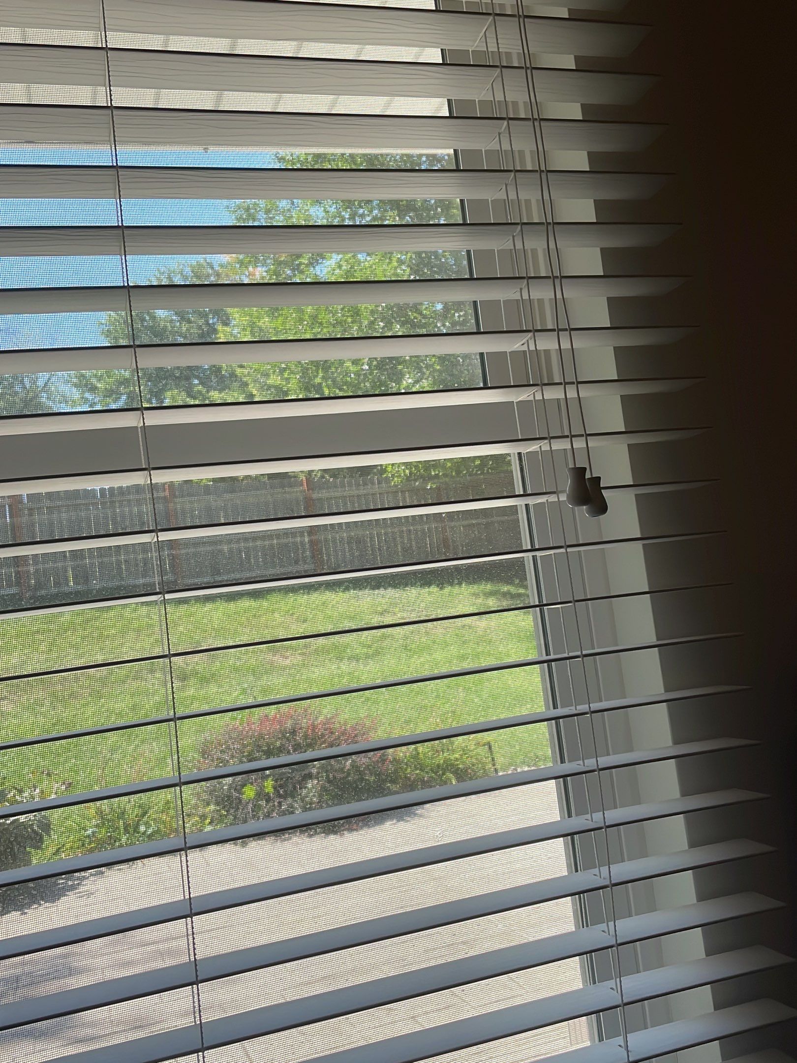 Basement remodel project by CompanyCam Sales Demo