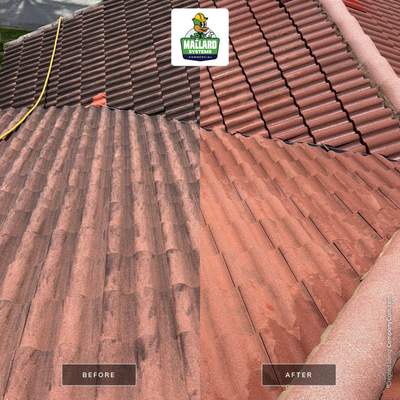 Tile Roof Cleaning in Celebration