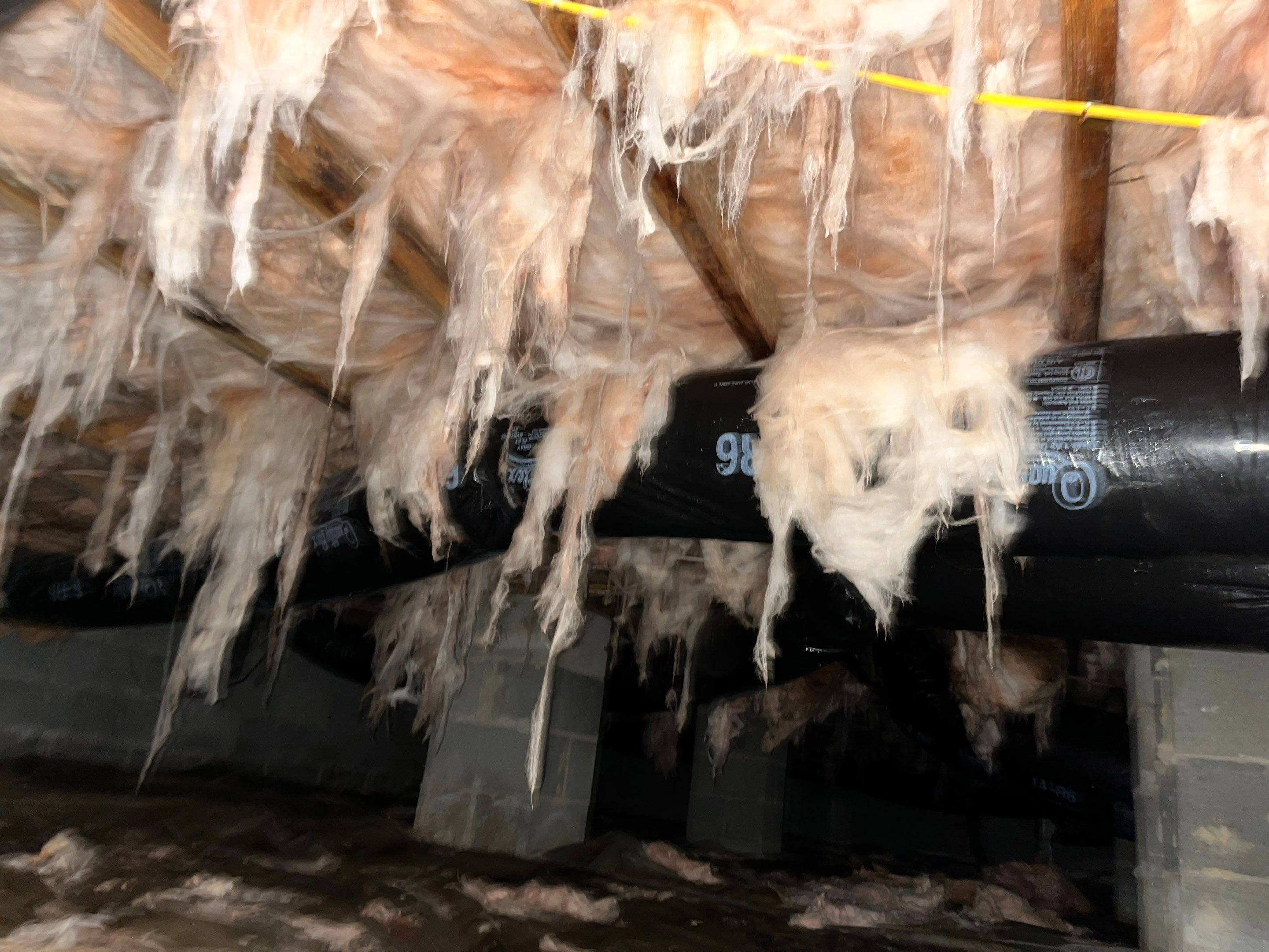 Premium Encapsulation with Bora-Foam using Bora-Foam Insulation by Impact Crawlspace