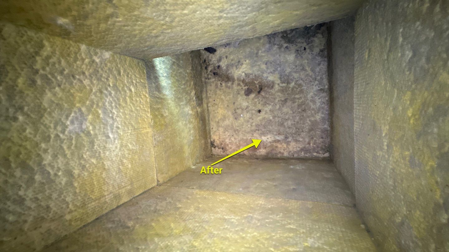 Air Duct Cleaning in St. Cloud by Hygienic Air, Inc
