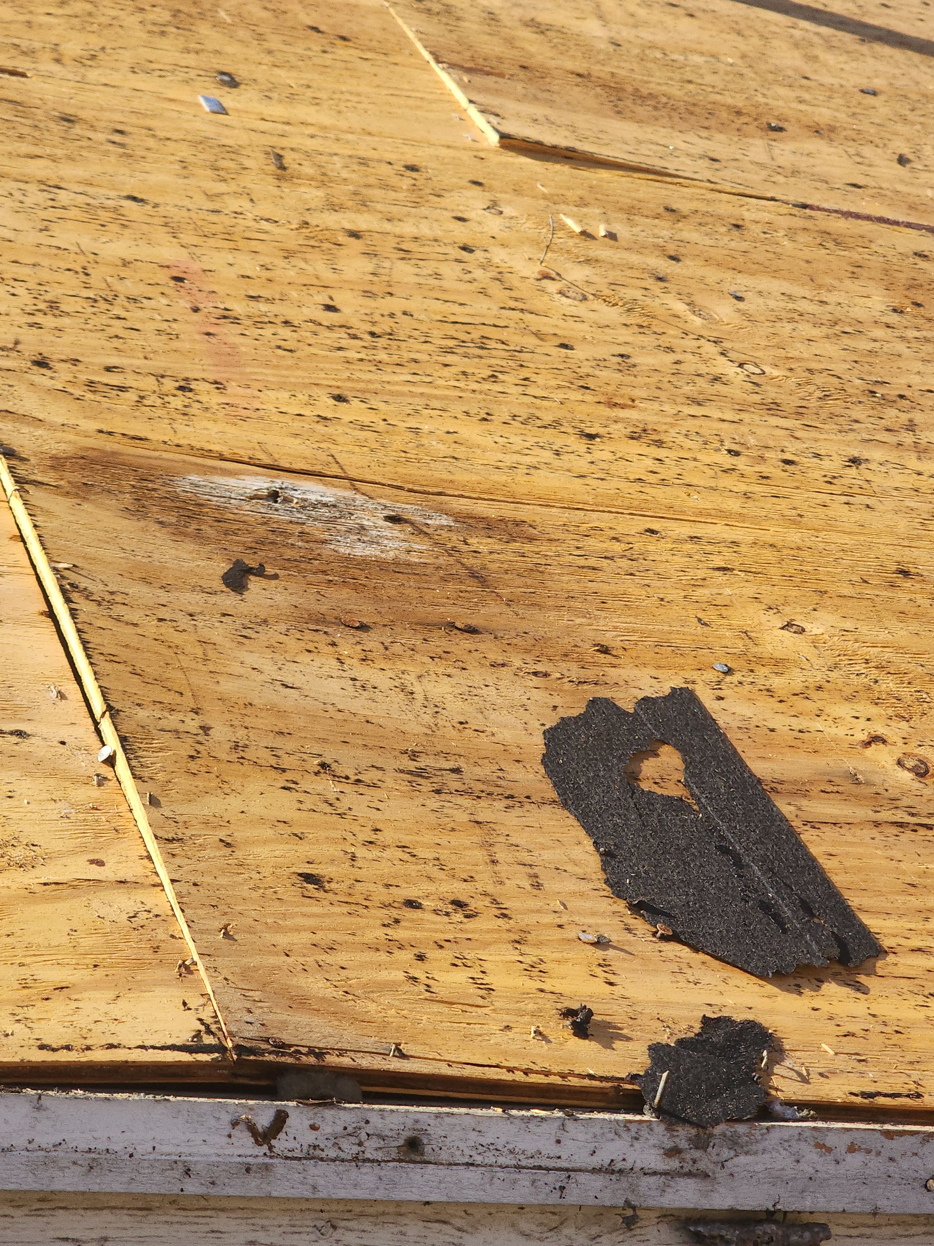 Roof Replacement  - CertainTeed Climateflex by 3:16 Roofing and Construction
