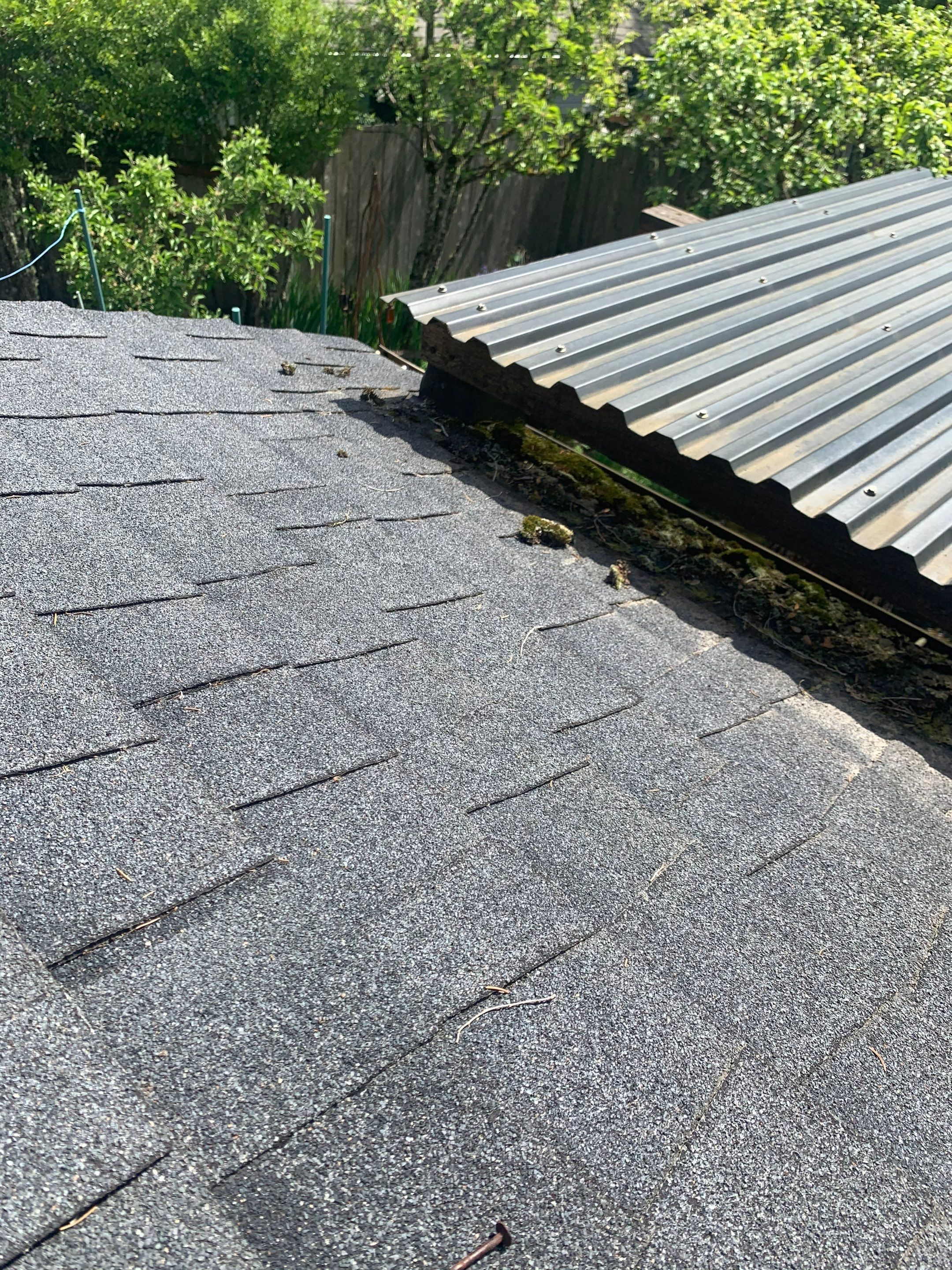 Taylor Metal Roof System Color: Vintage  by Orezona Building & Roofing Company, Inc.