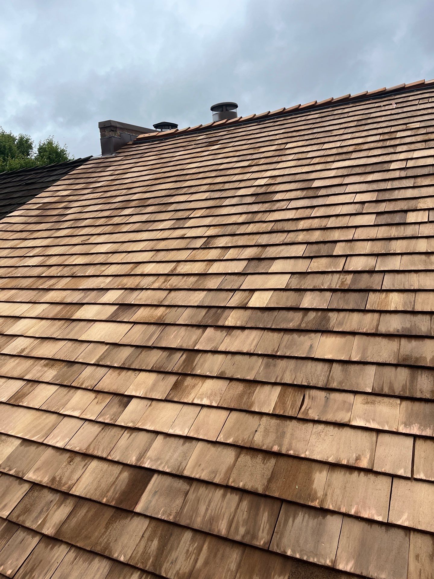 Arlington: Residential Roof Replacement with Perfection CCA-Treated Cedar Shakes by RM Banning, Inc.