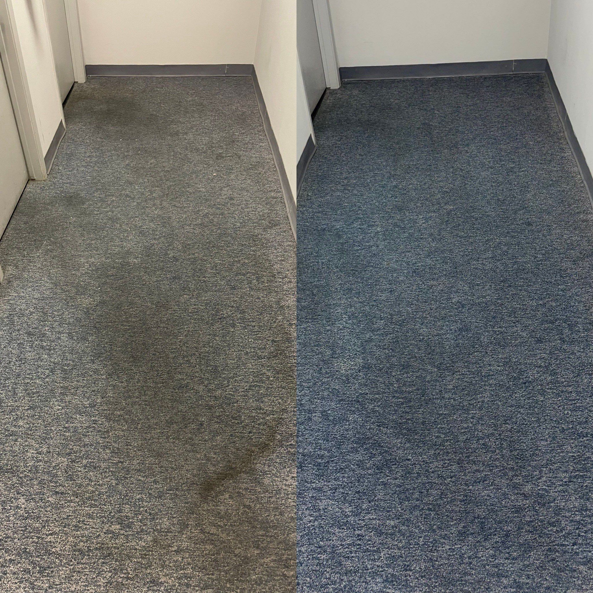 carpet cleaning company in san antonio is removing stains and dirt from a hallway carpet as shown in the photo