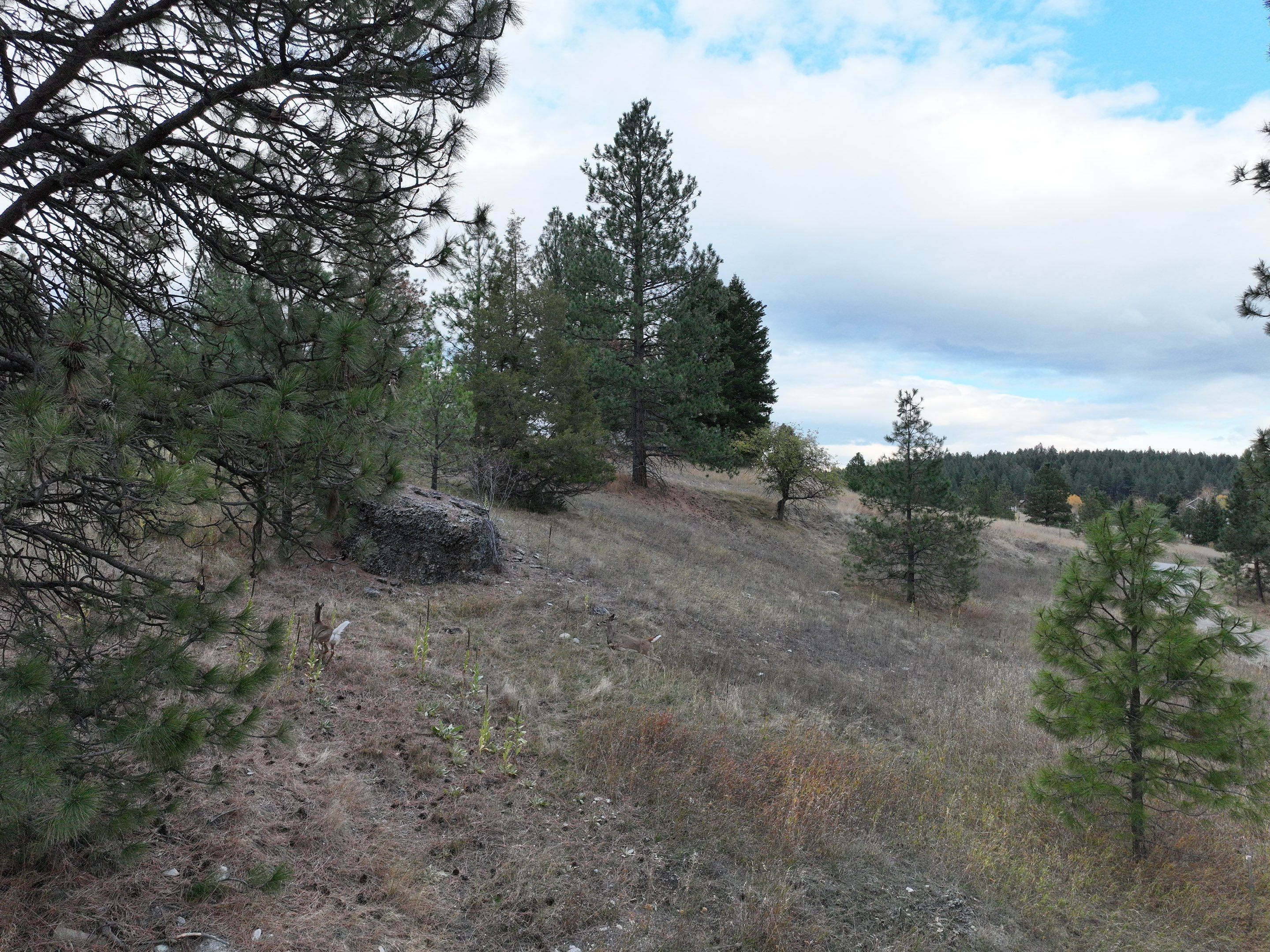 GAF Timberline HDZ - Charcoal - Kalispell, MT  by Montana Roofing Solutions