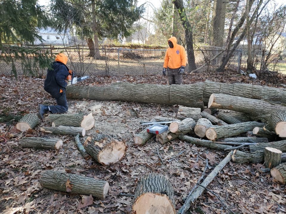 Tree Removal using Tree Removal by Mike Jones & Sons Tree Service LLC 