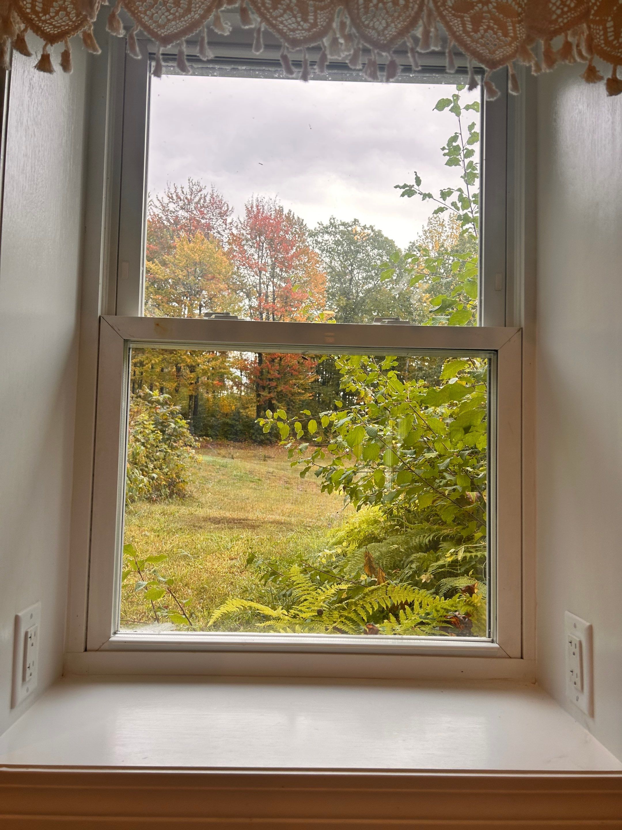 Glass Replacement using Clear Insulated Glass by Cheshire Glass Company