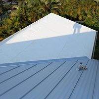 24ga 1" Nail-Strip Mill Finish by Total Roofing System The Metal Roof Experts