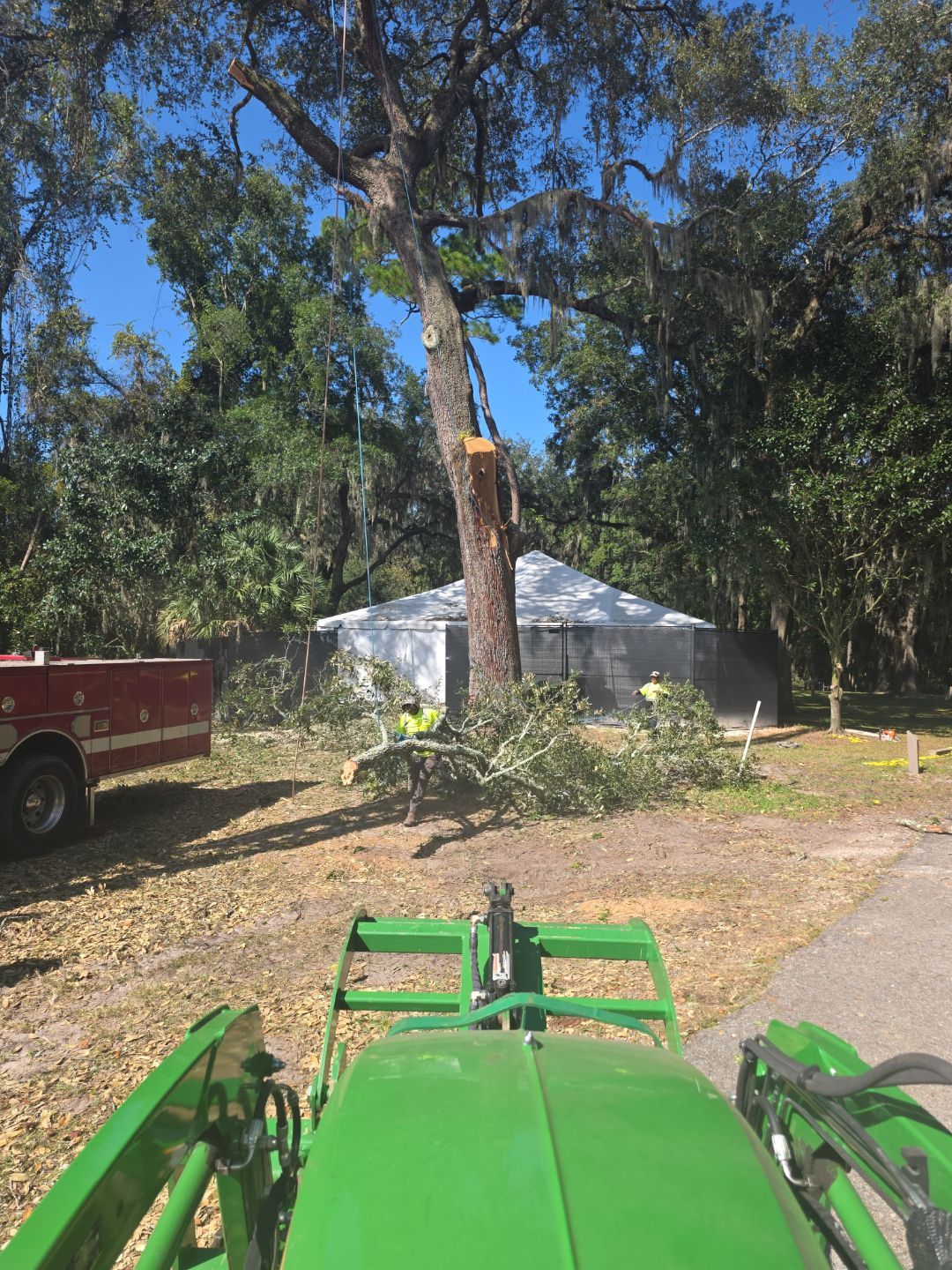 Episcopal | Large Tree Removal by ProGreen Services