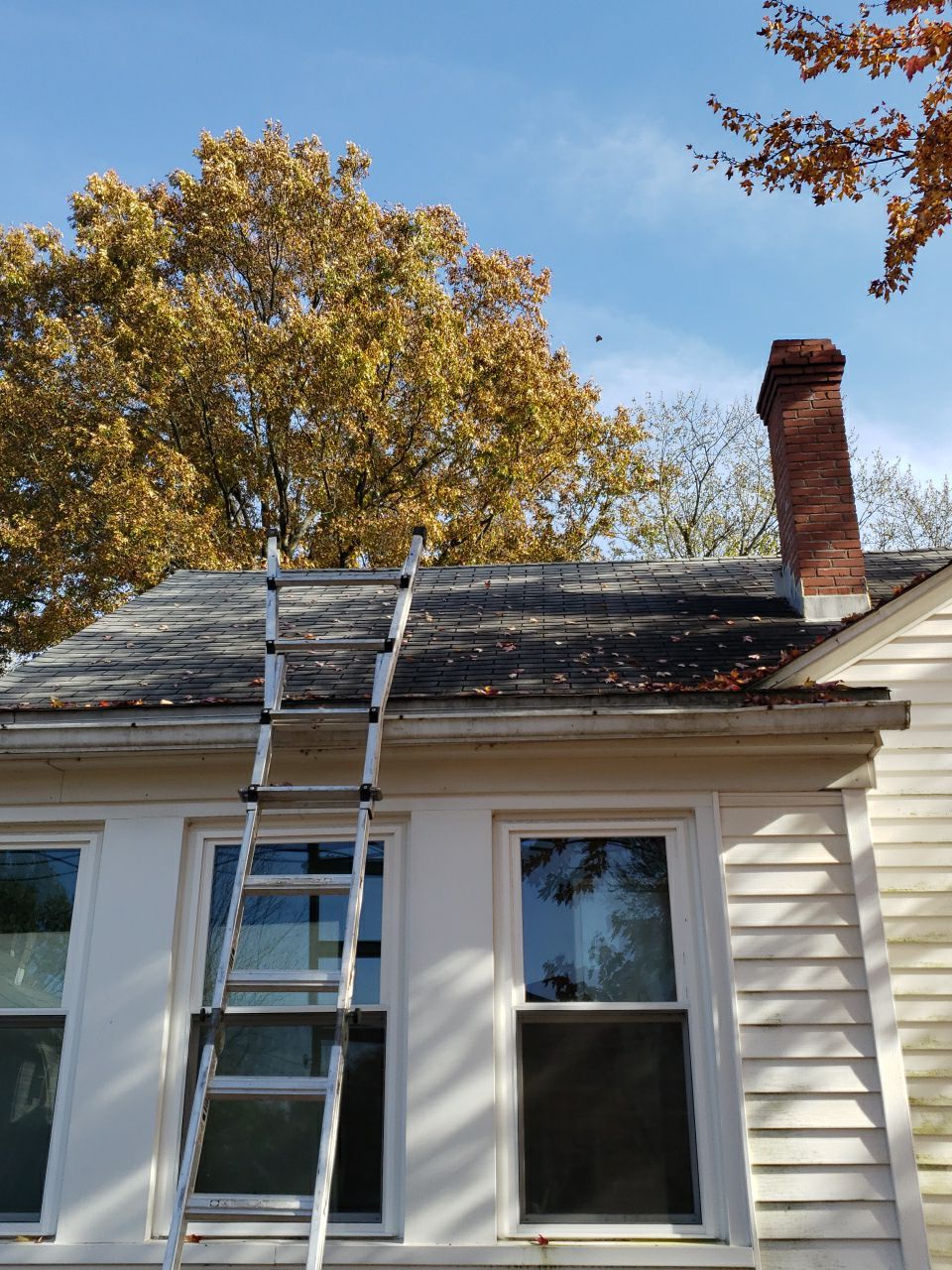 ATLAS PINNACLE SCOTCHGARD COLOR: PEWTER DRIP EDGE: BLACK by Eagle Eye Roofing