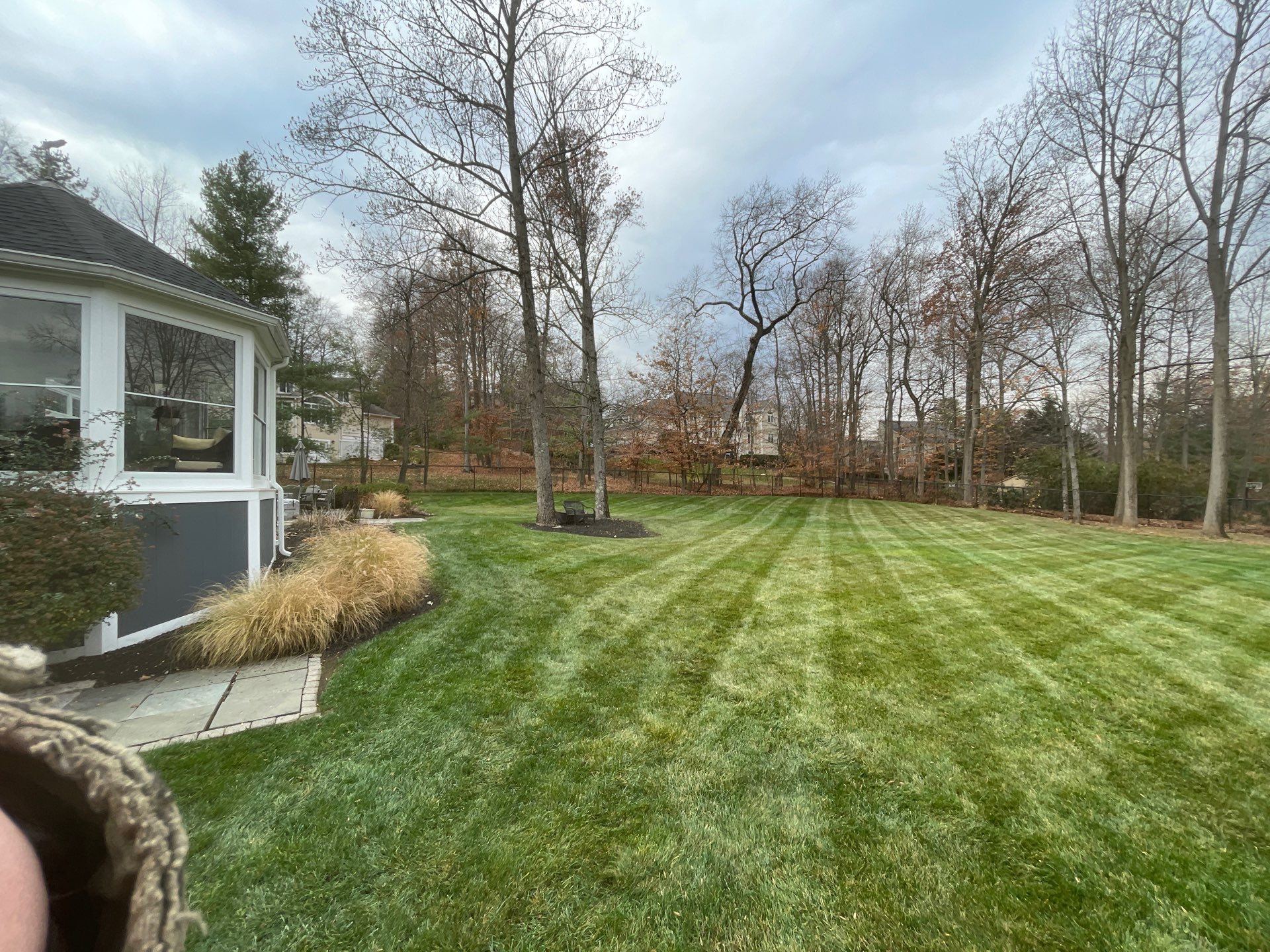 Comprehensive Lawn Care in Warren by Ants Plants
