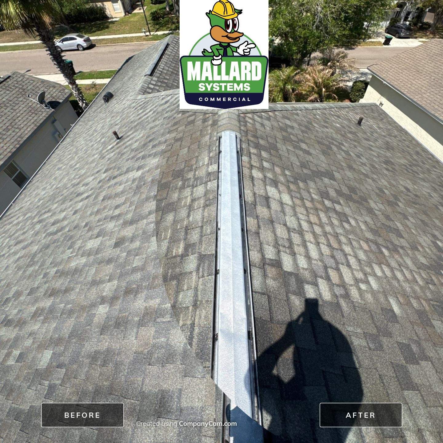 Shingle Roof Cleaning by Mallard Systems
