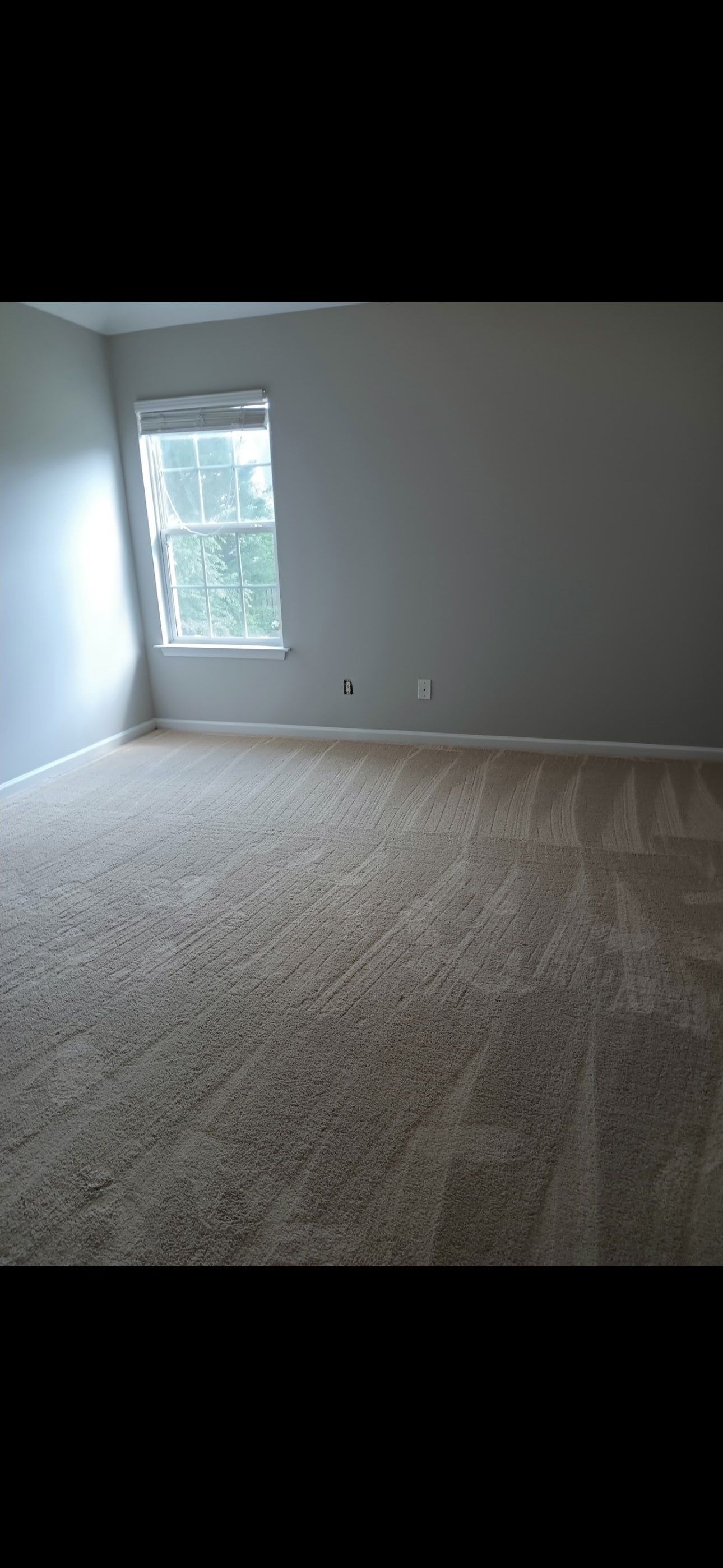 Project 84 by FMP Flooring