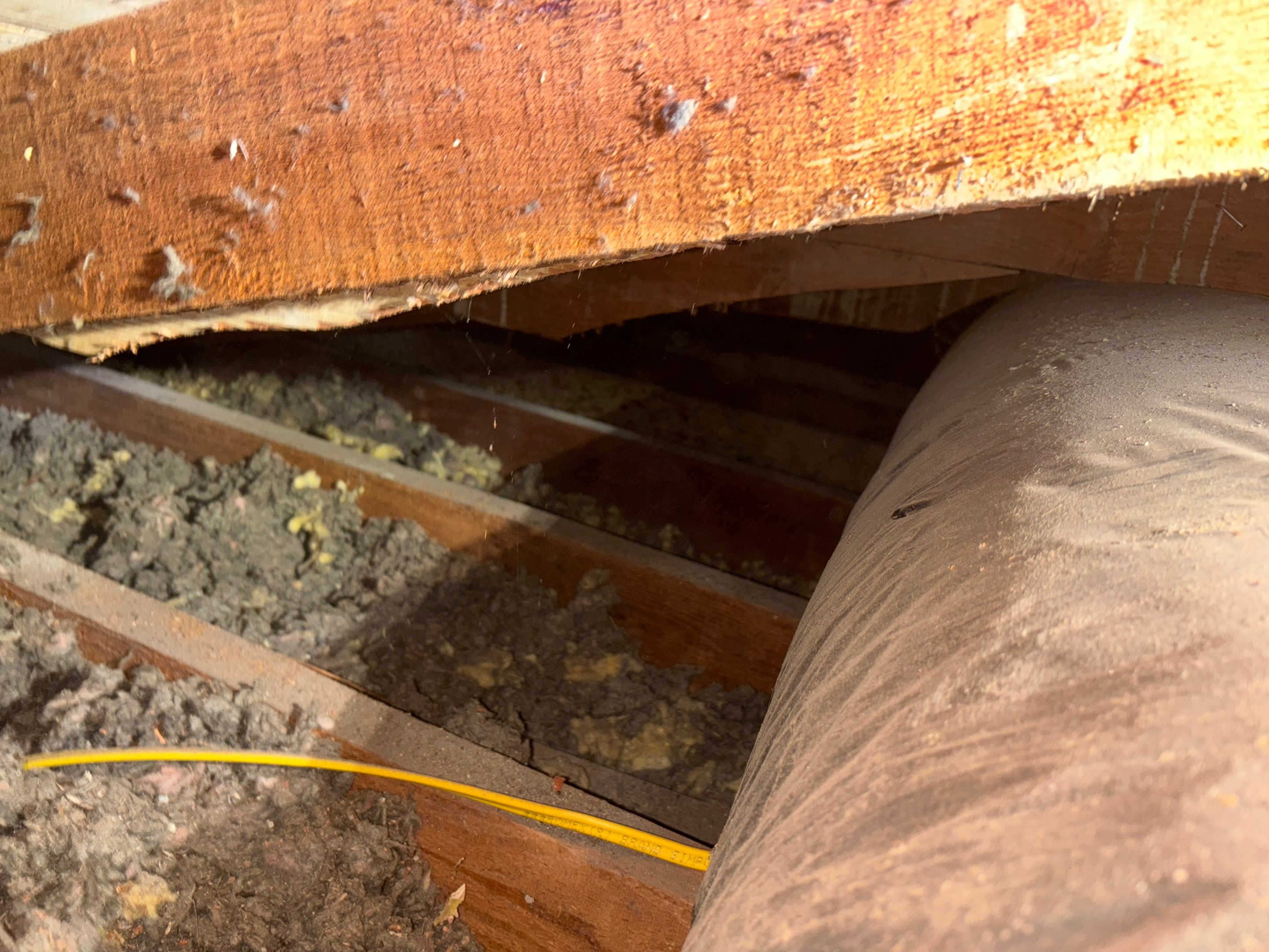 Project in Pasadena by Insulation Labs