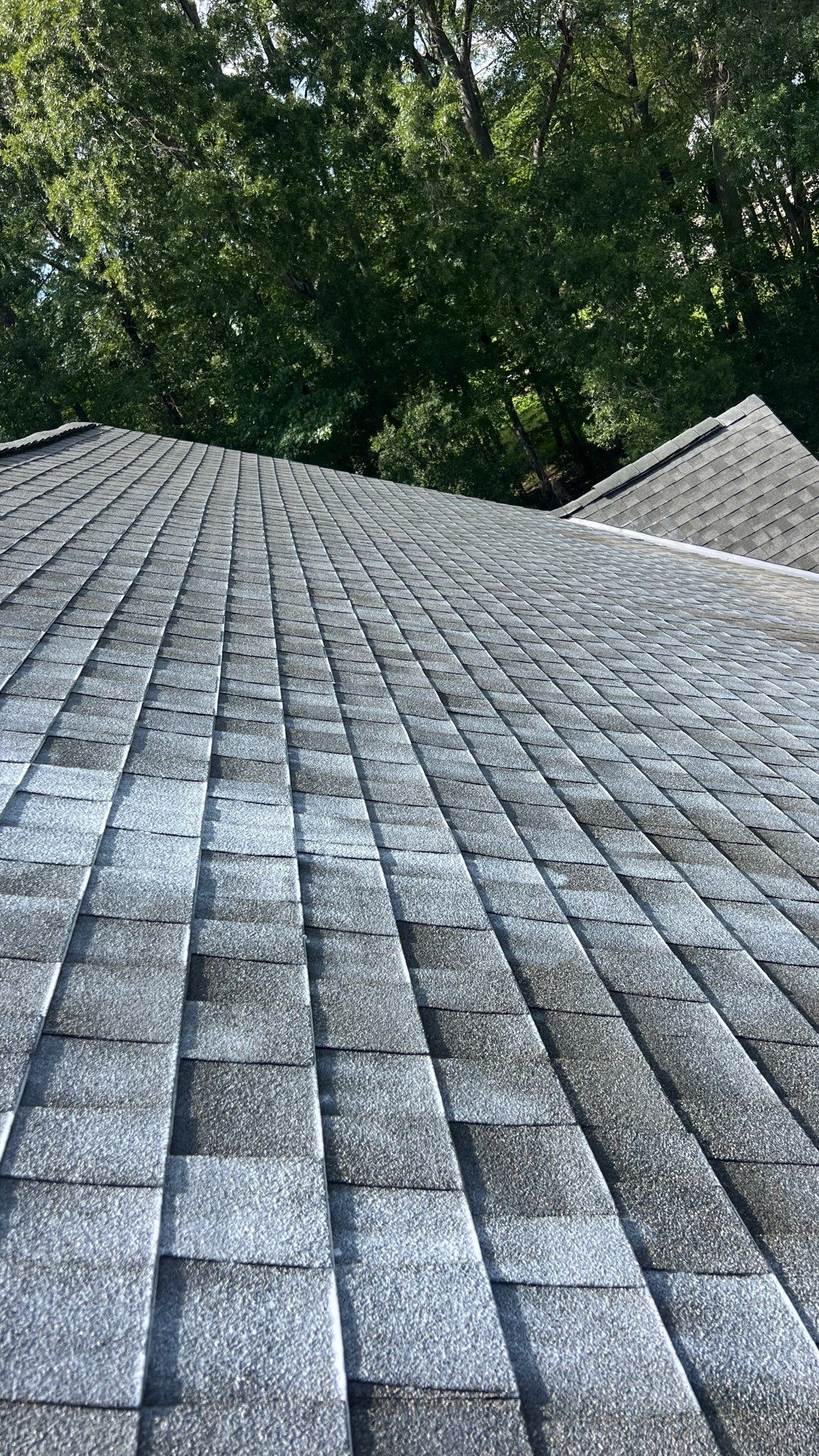 Project in Maidens by Roof Maxx of Midlothian