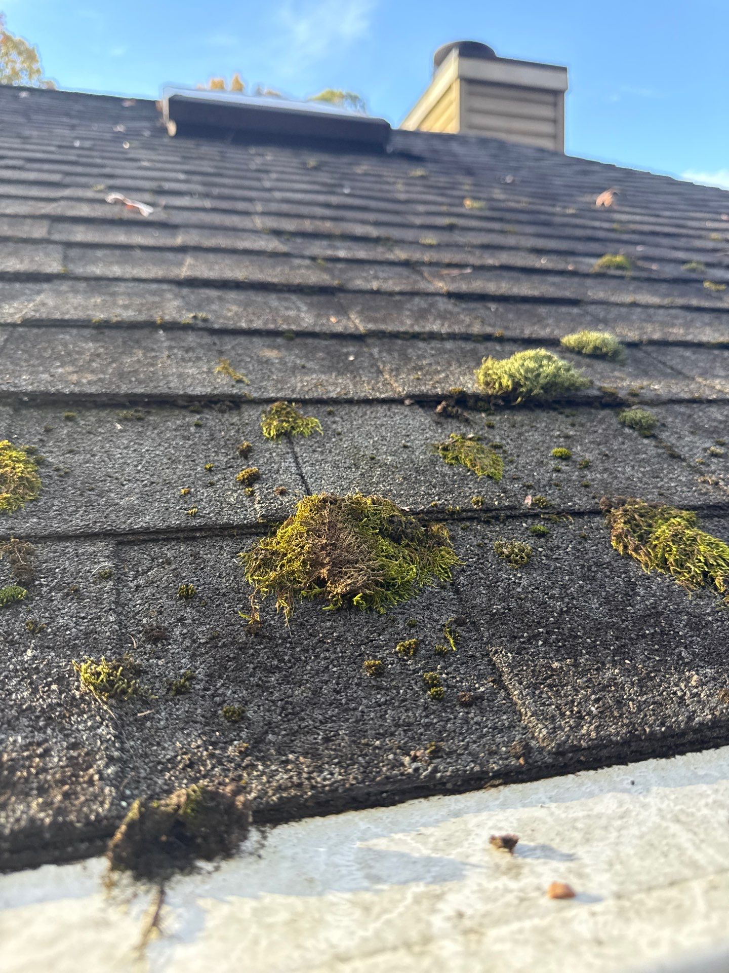 Project in Chesterfield  by Roof Maxx of Midlothian
