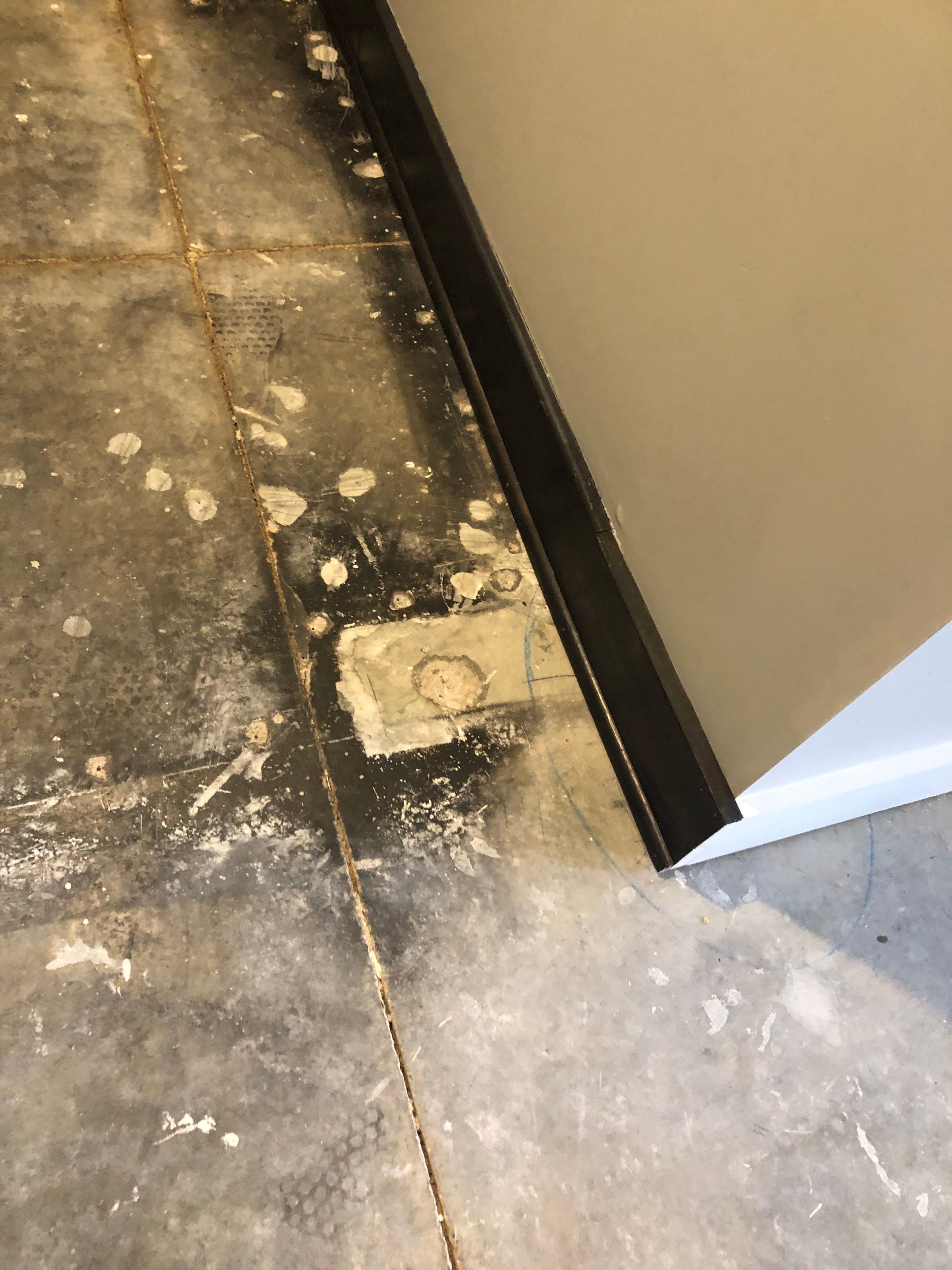 Louisburg, KS -- Basement Polish using Grey Stain by Big Red Decorative Concrete, LLC