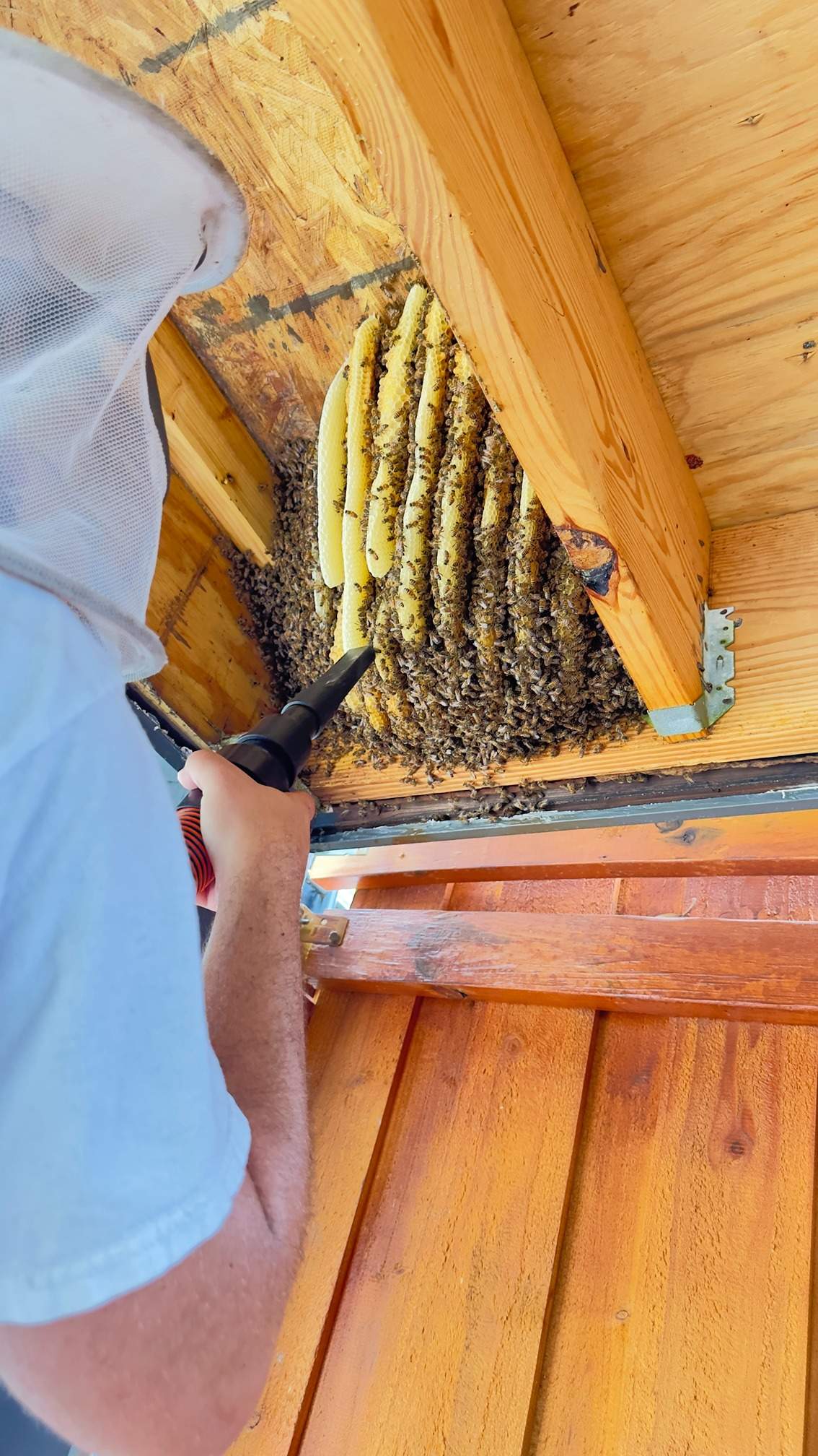 Carport by Rockwall Honey Bee Company